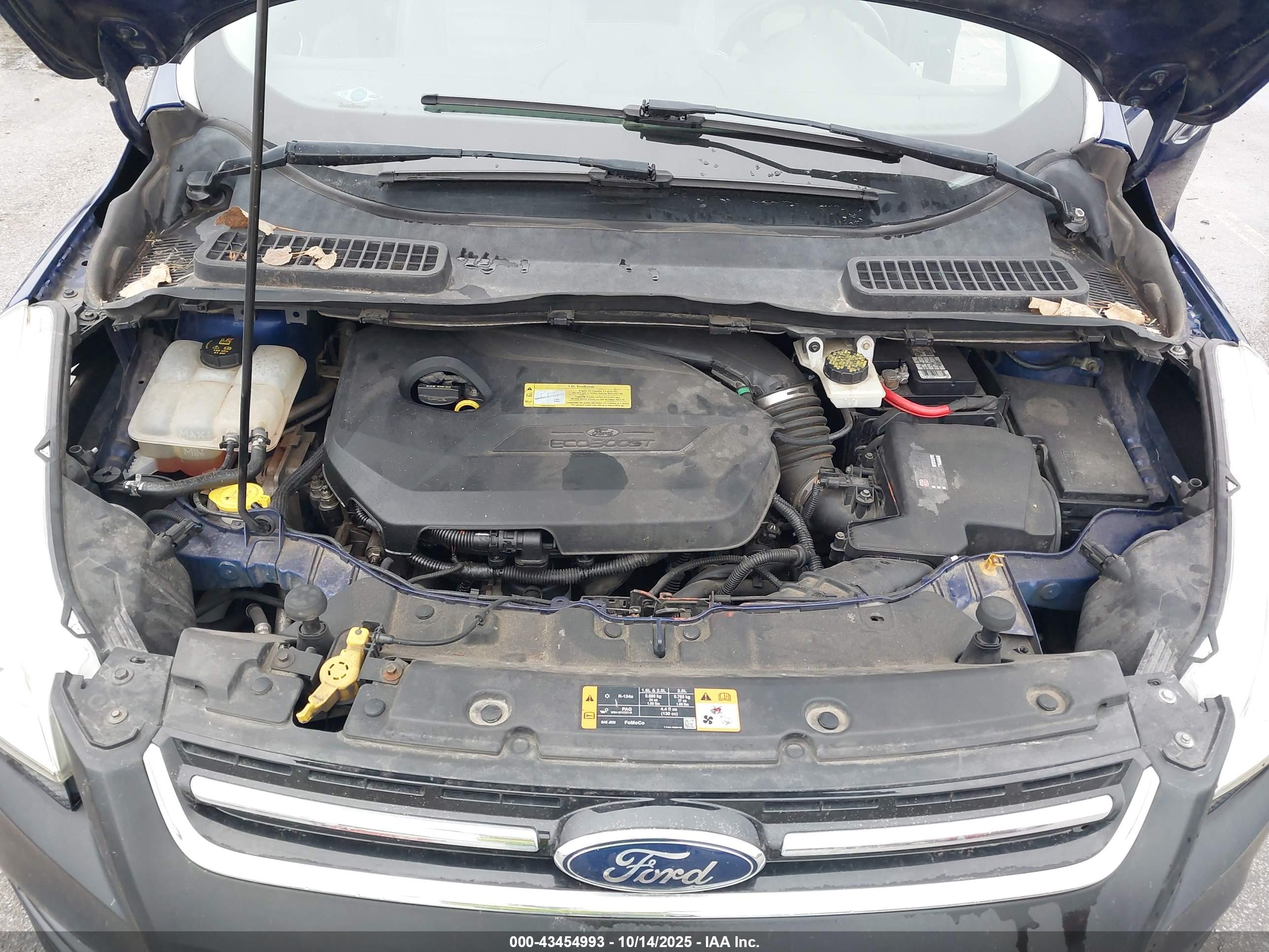 FORD ESCAPE image 10