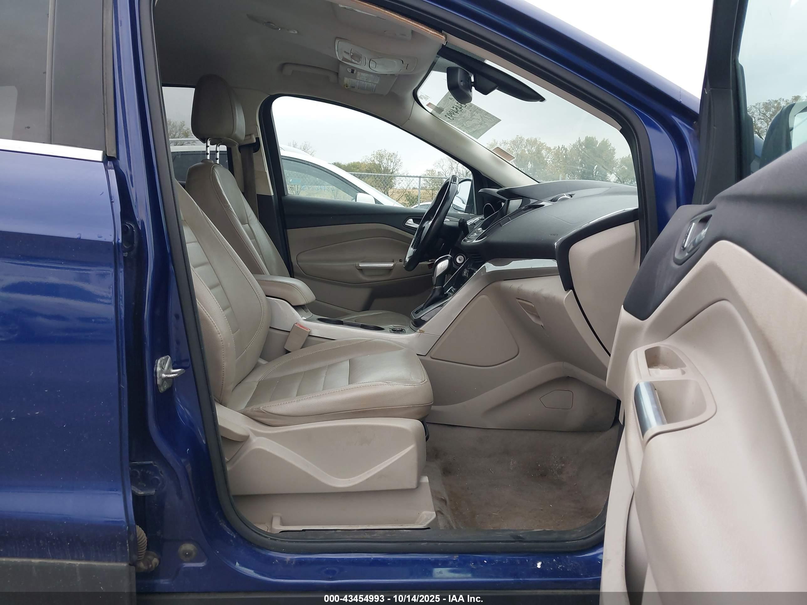 FORD ESCAPE image 5