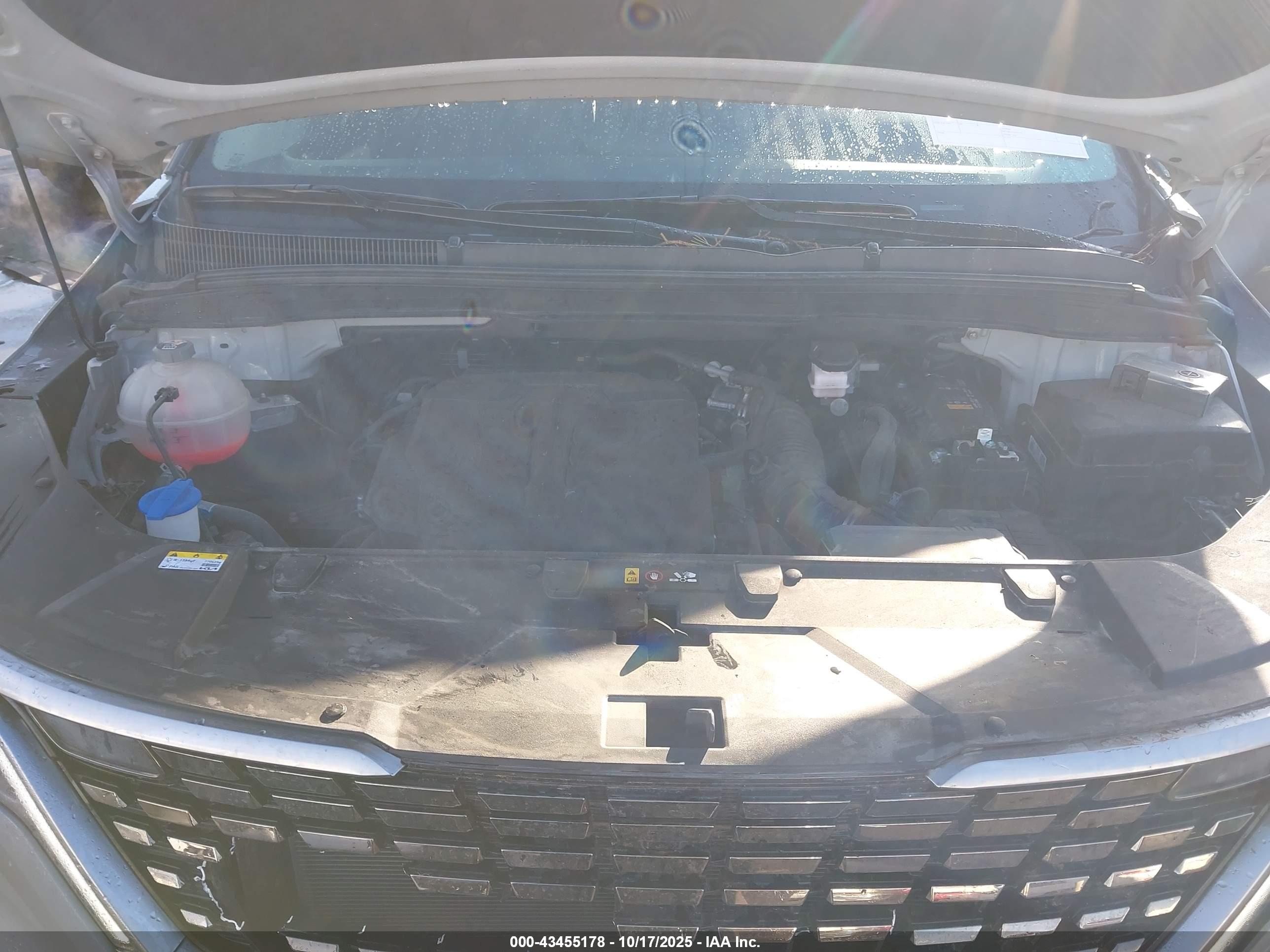 KIA CARNIVAL image 10