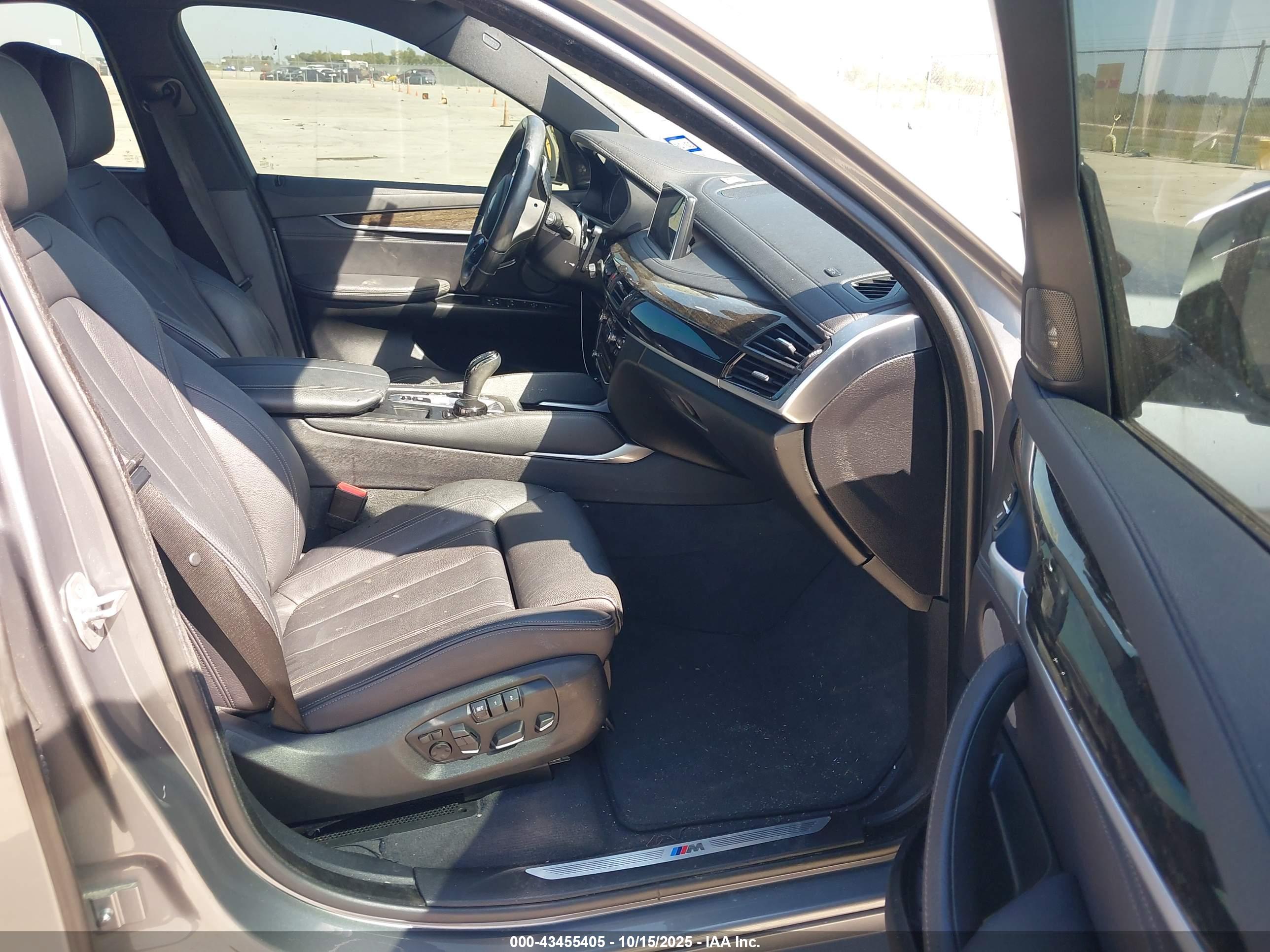 BMW X6 image 5