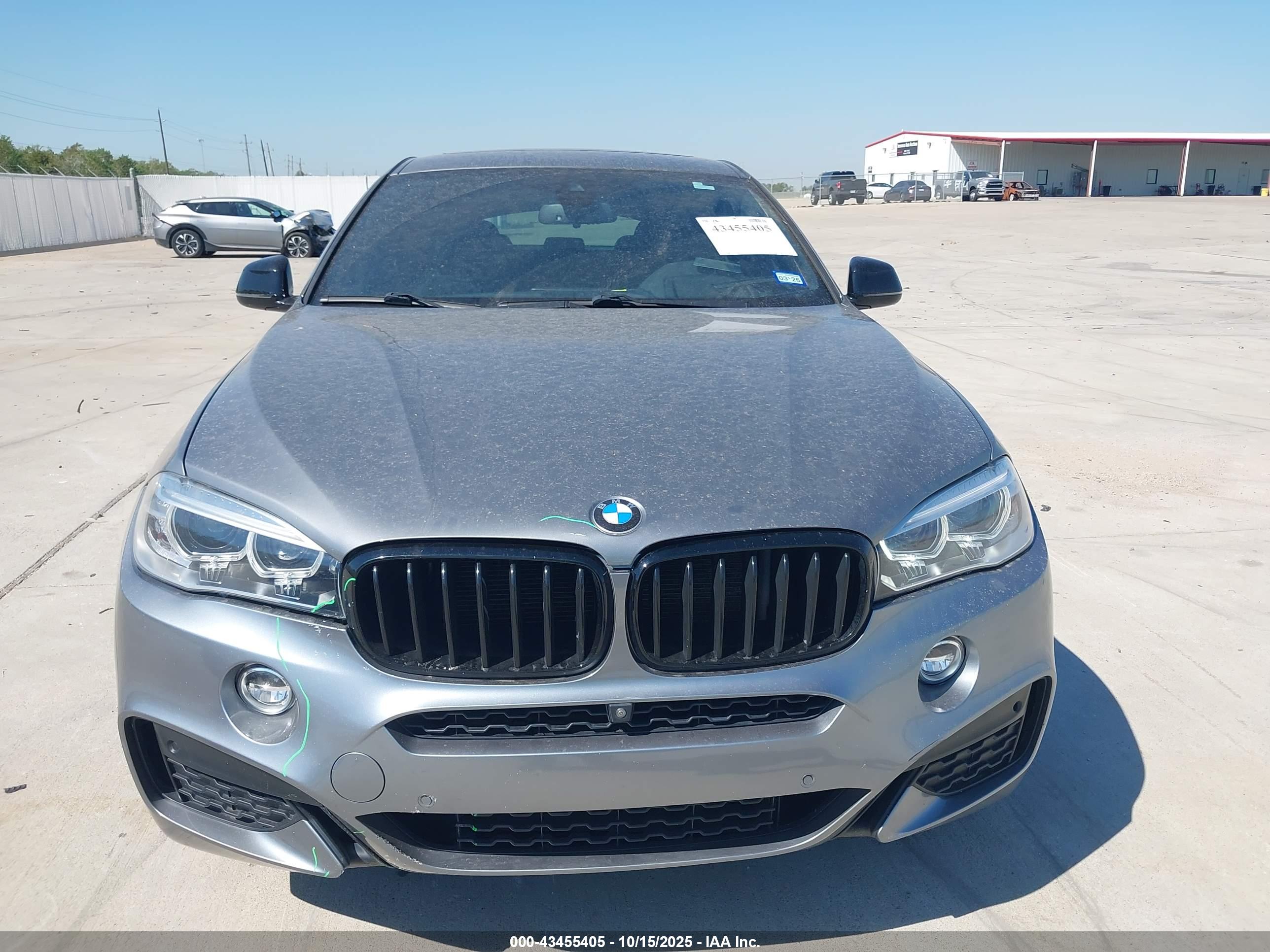 BMW X6 image 6