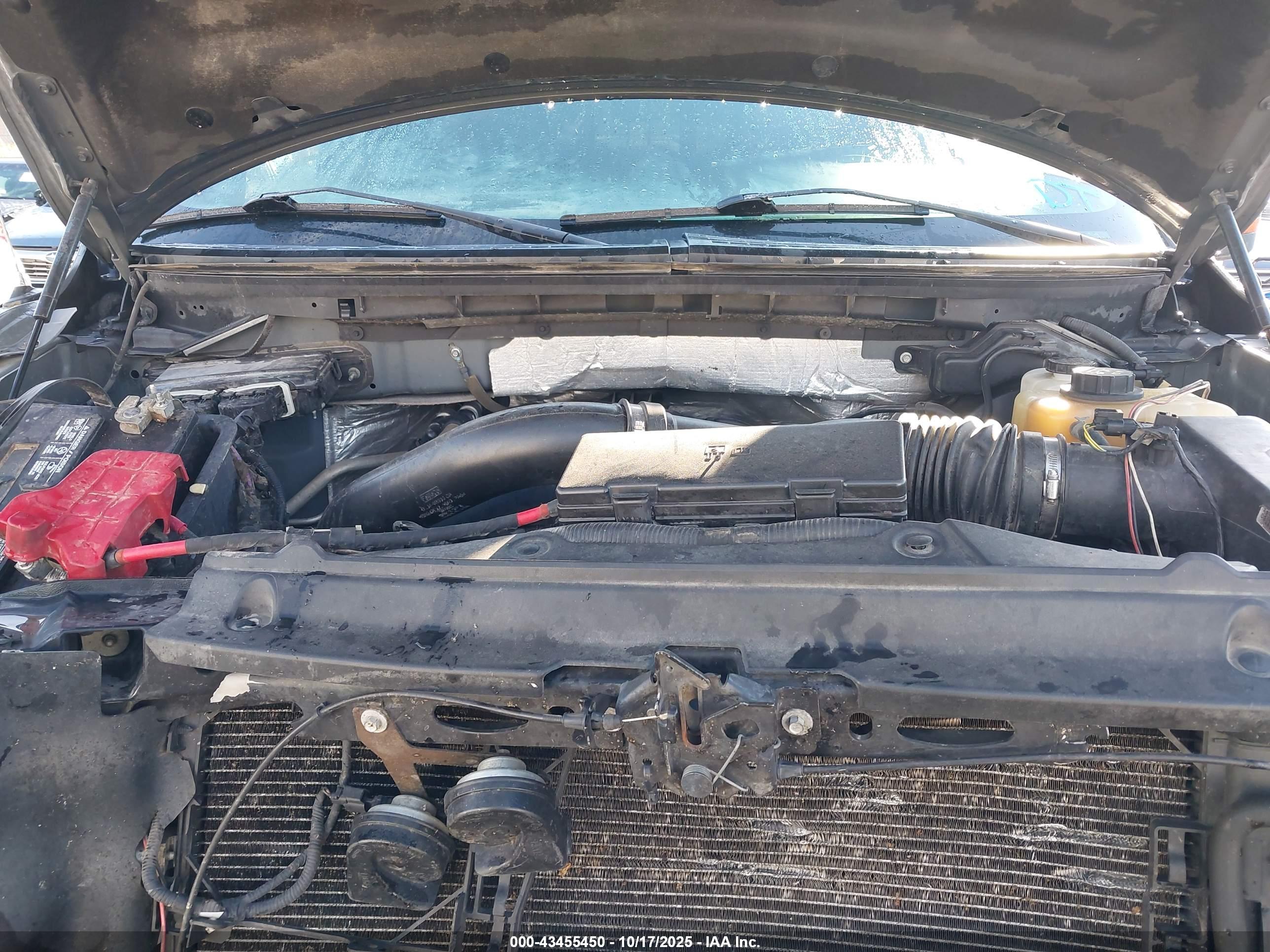 FORD F-150 image 10