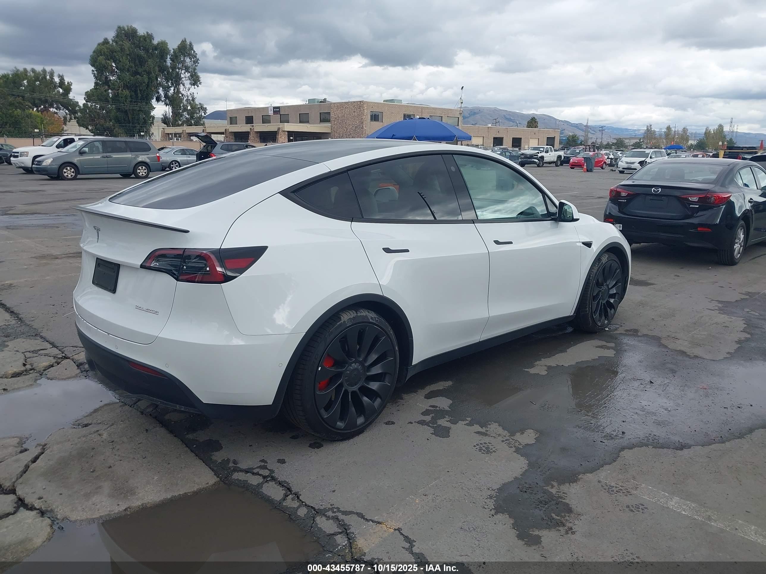 TESLA MODEL image 4