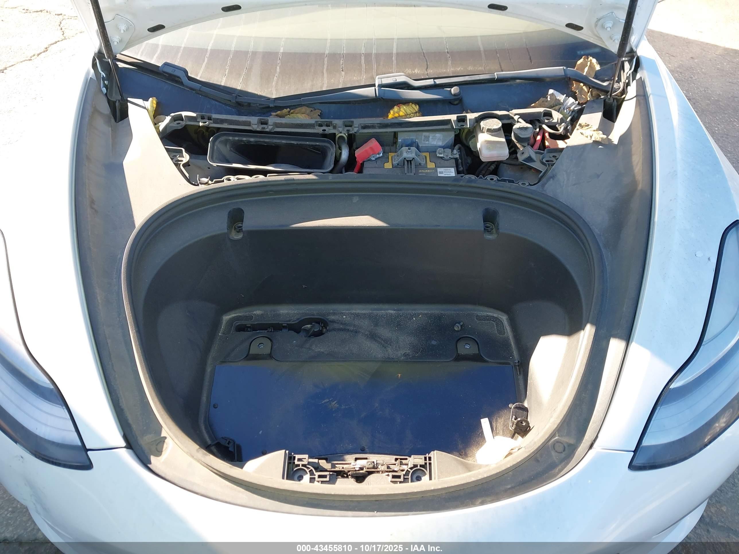 TESLA MODEL image 10