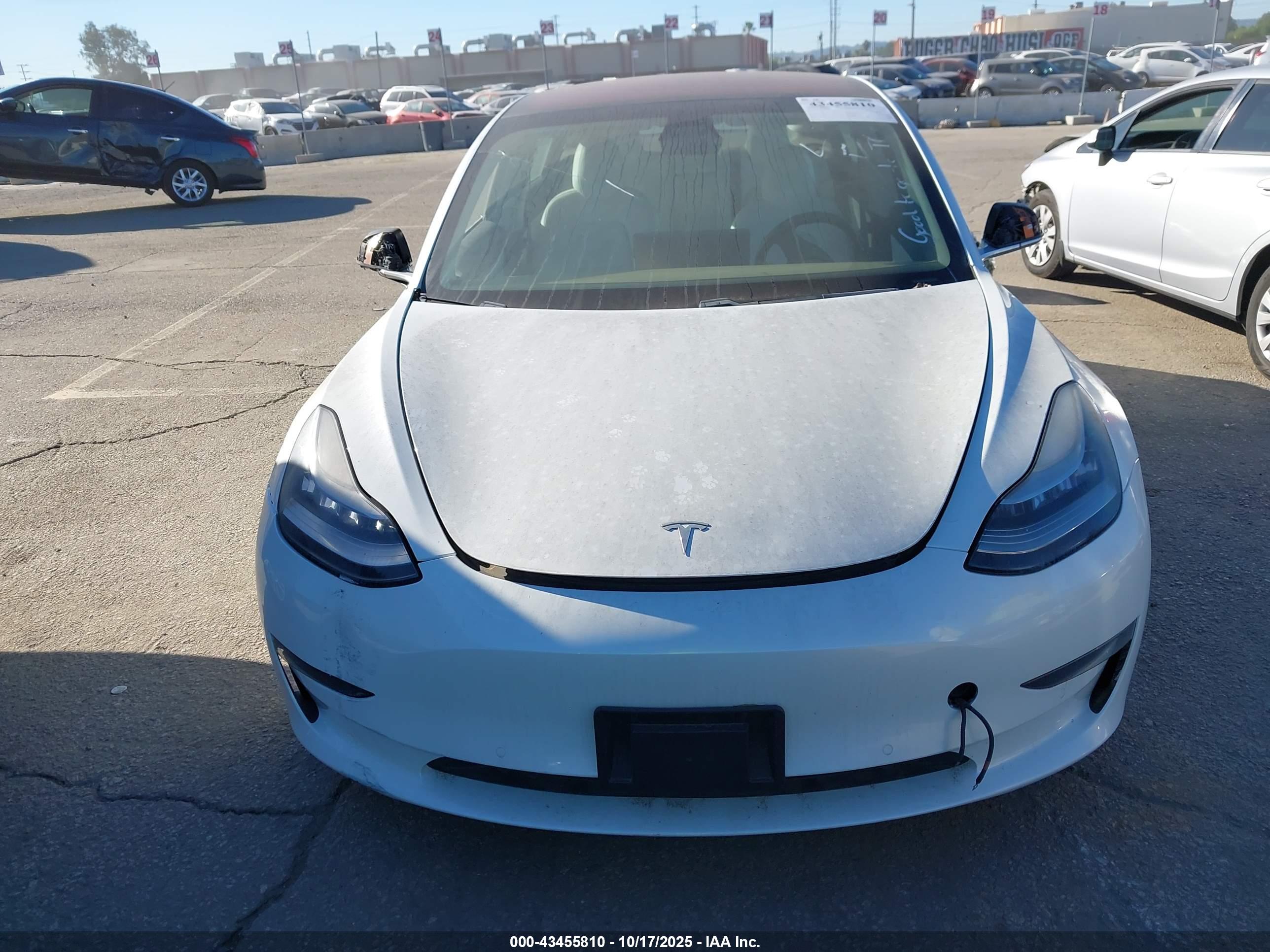 TESLA MODEL image 6