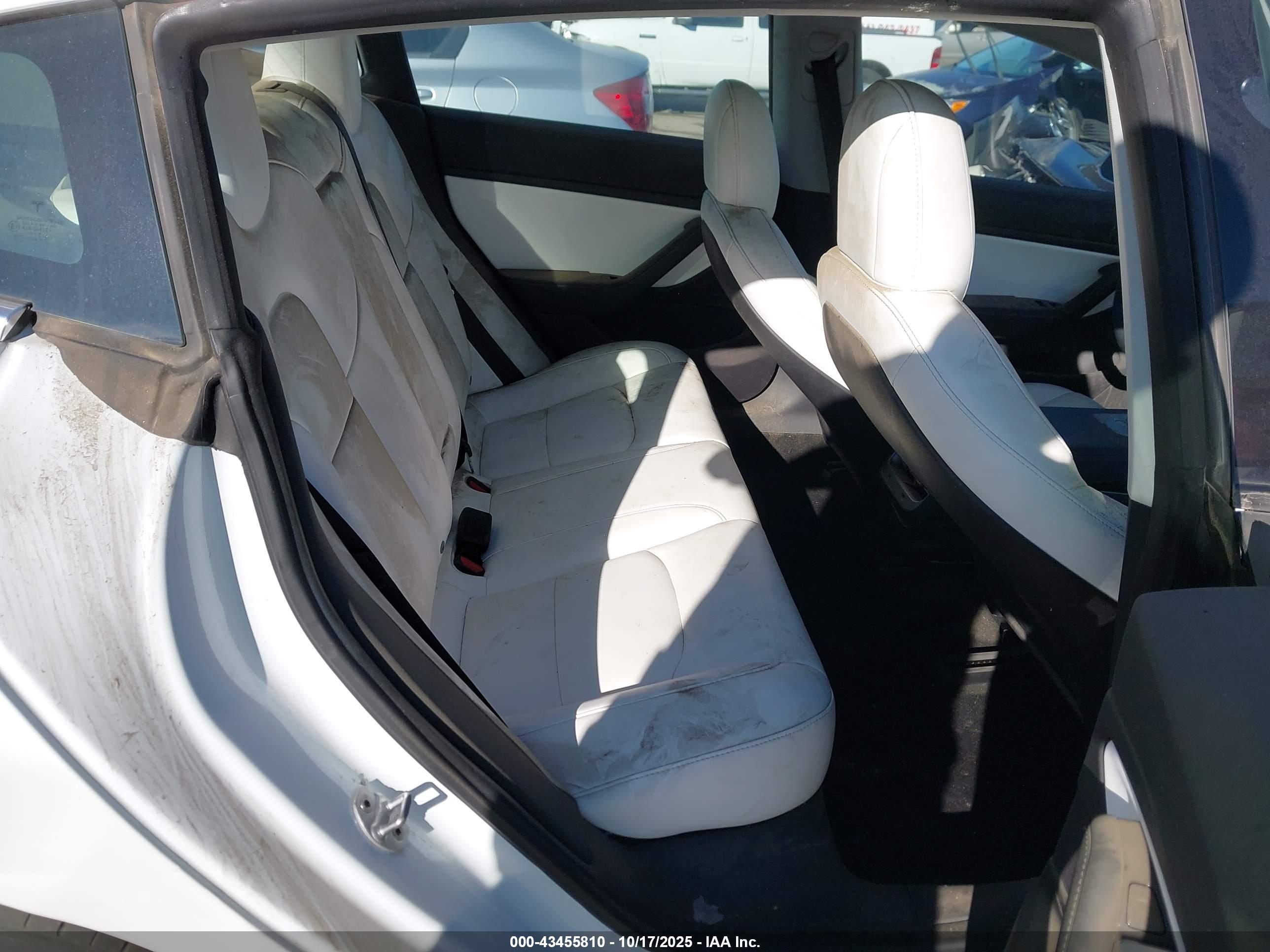 TESLA MODEL image 8