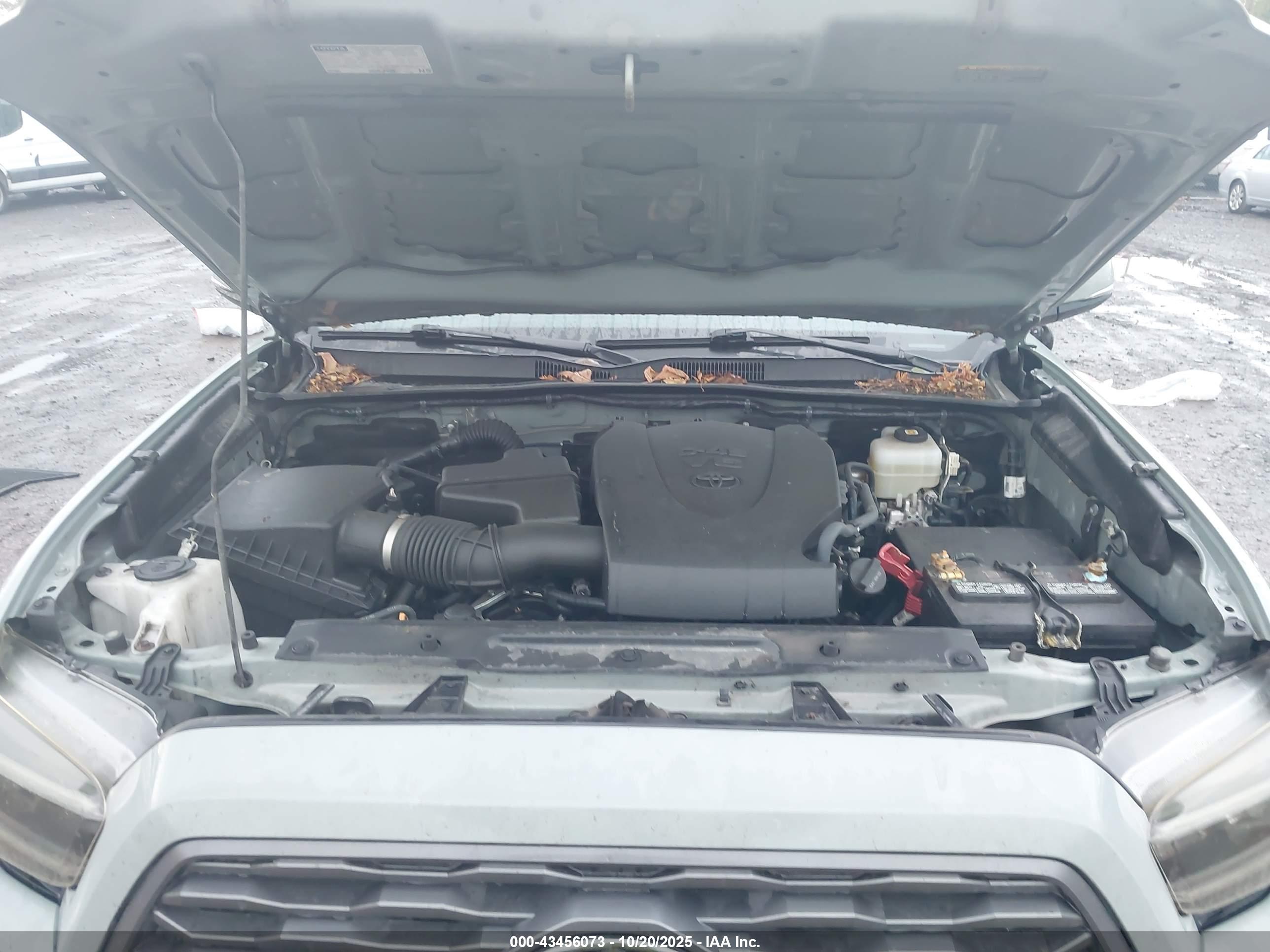 TOYOTA TACOMA image 10