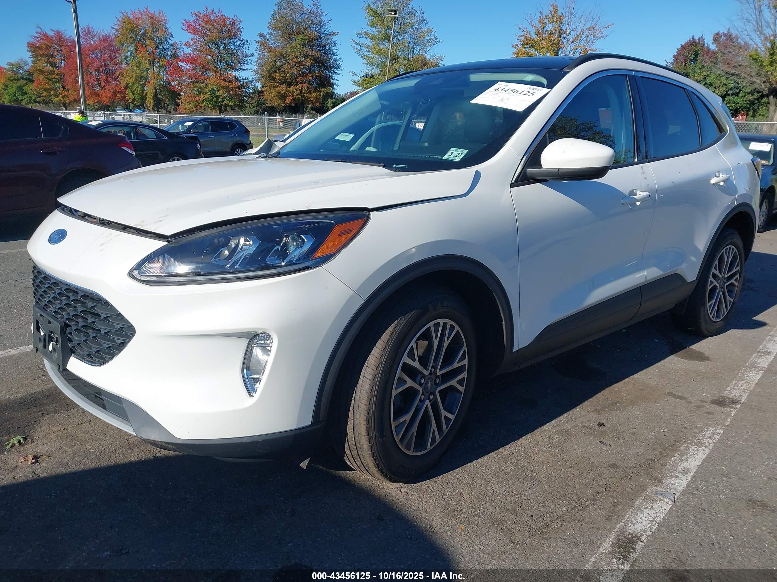 FORD ESCAPE image 2
