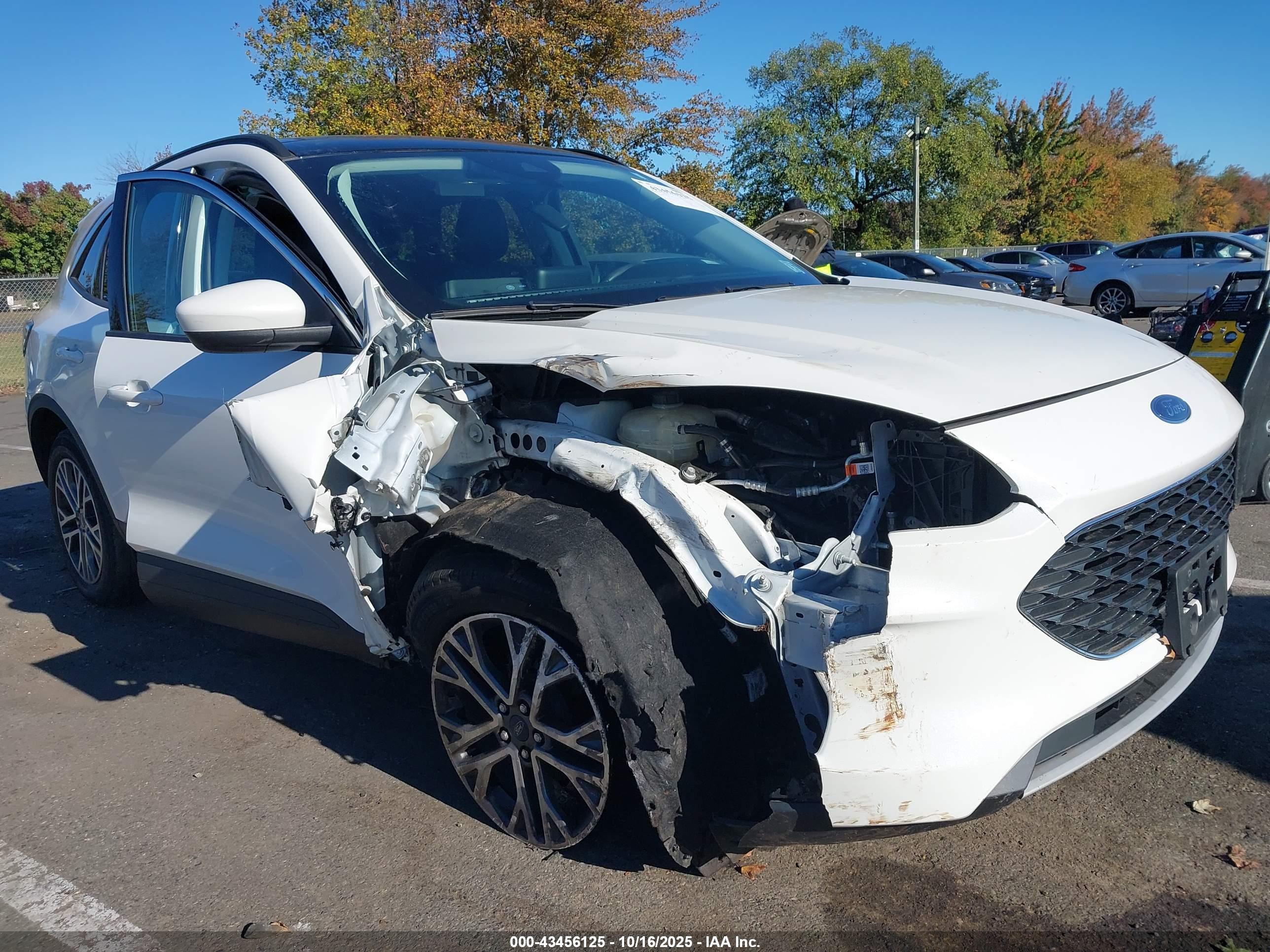 FORD ESCAPE image 6