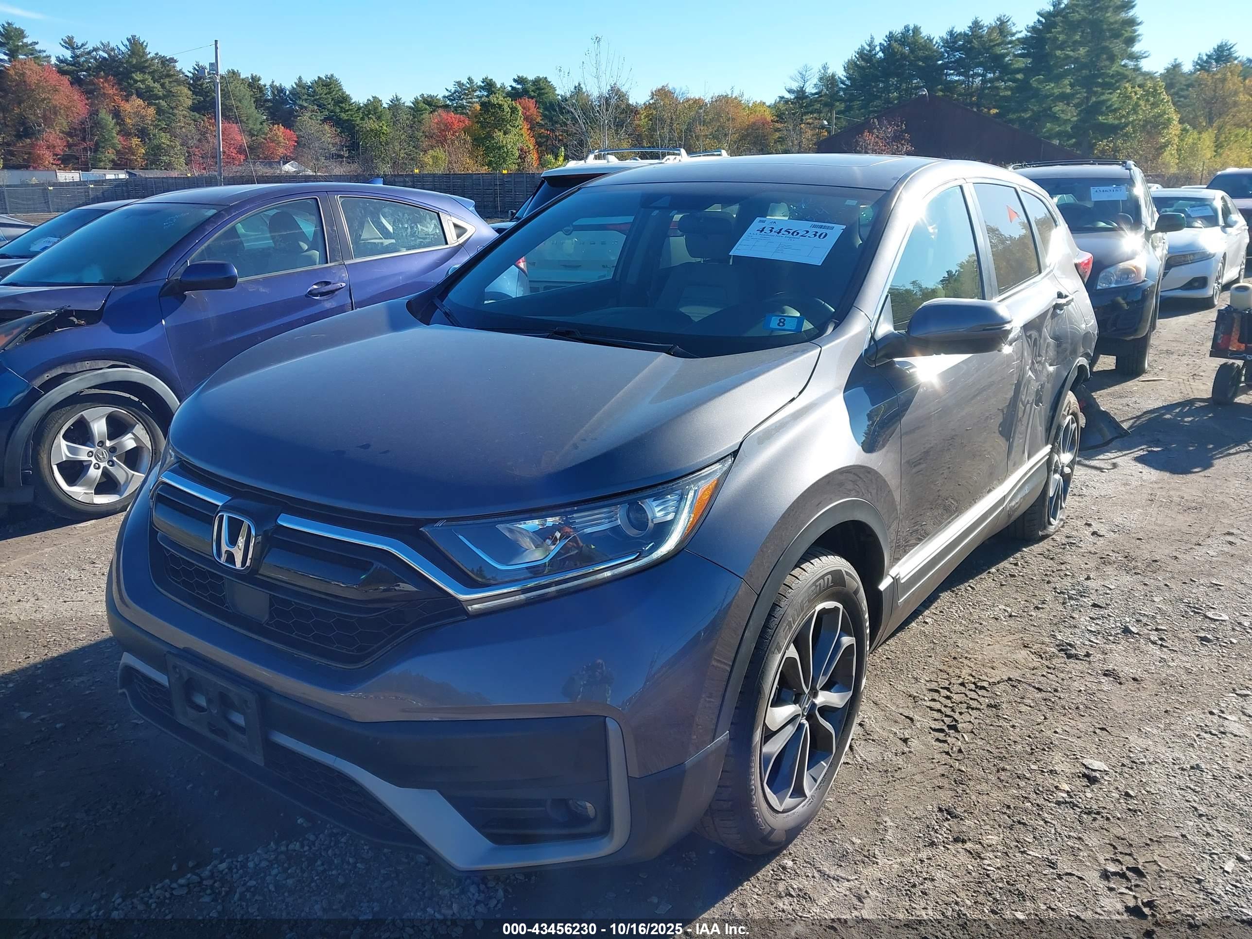 HONDA CR-V image 2