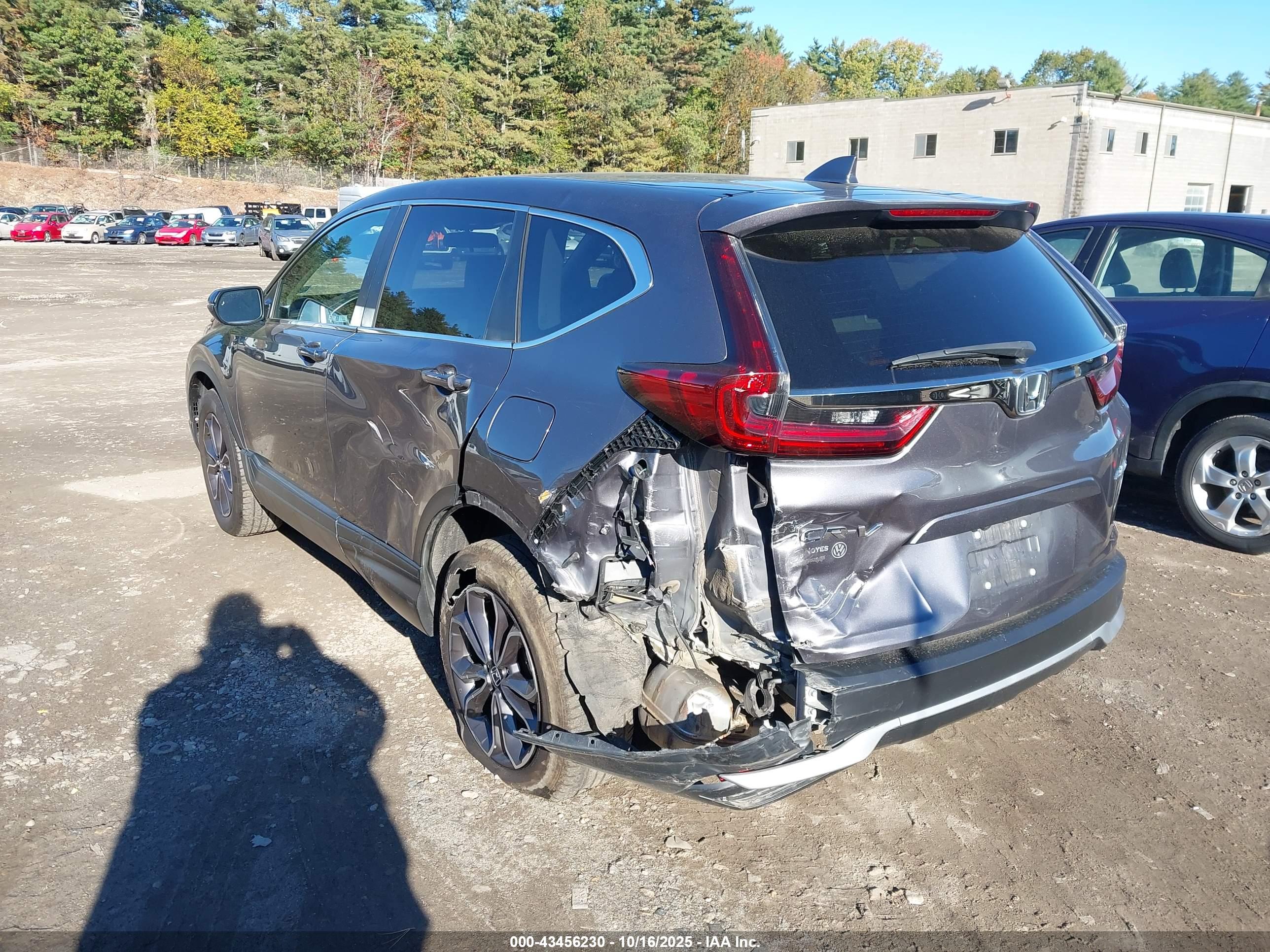 HONDA CR-V image 3