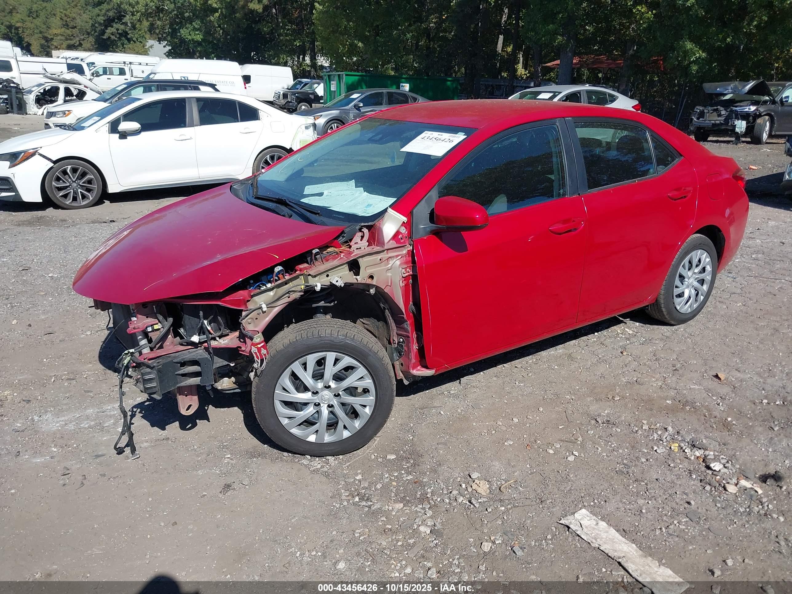 TOYOTA COROLLA image 2