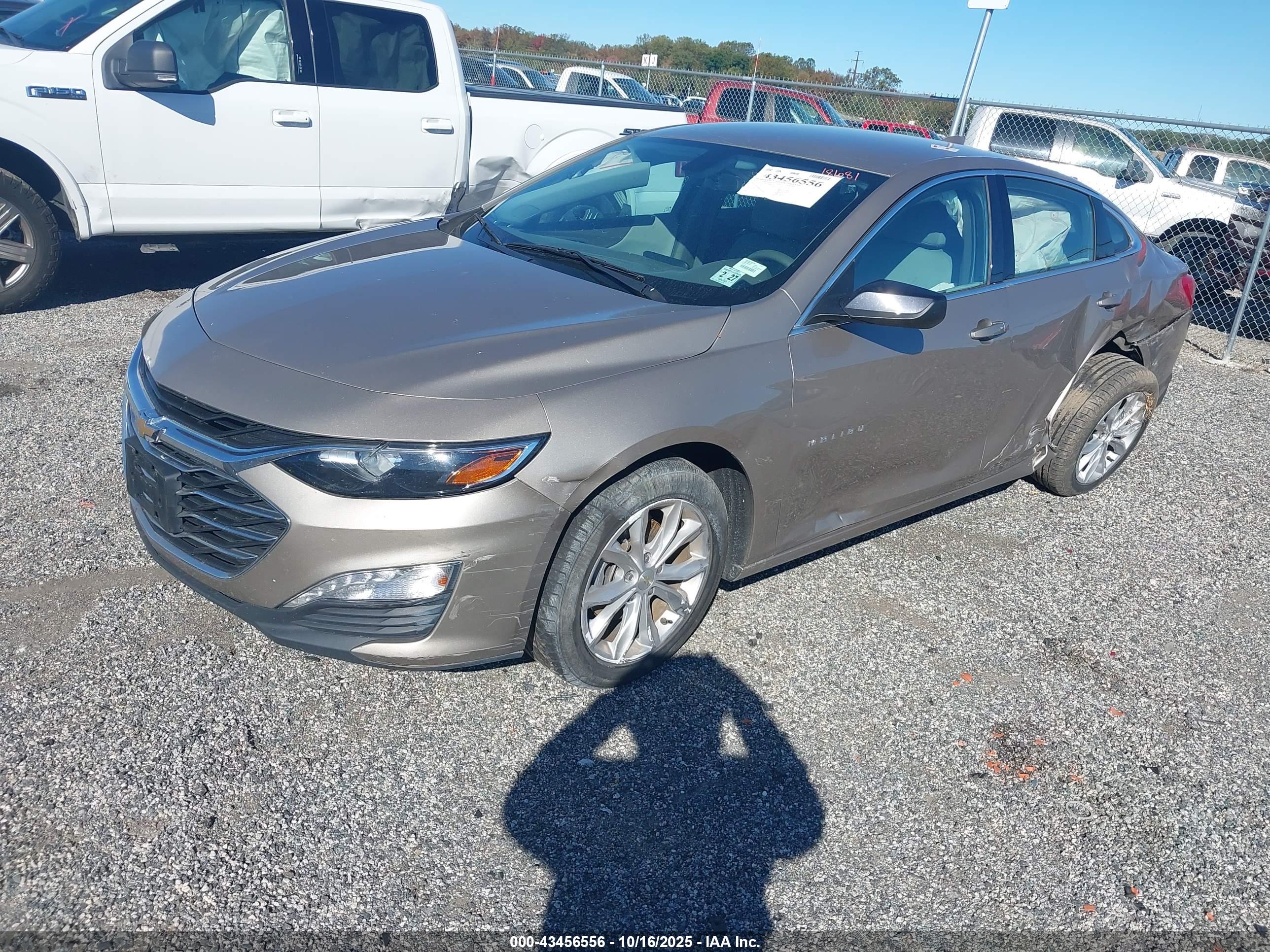 CHEVROLET MALIBU image 2