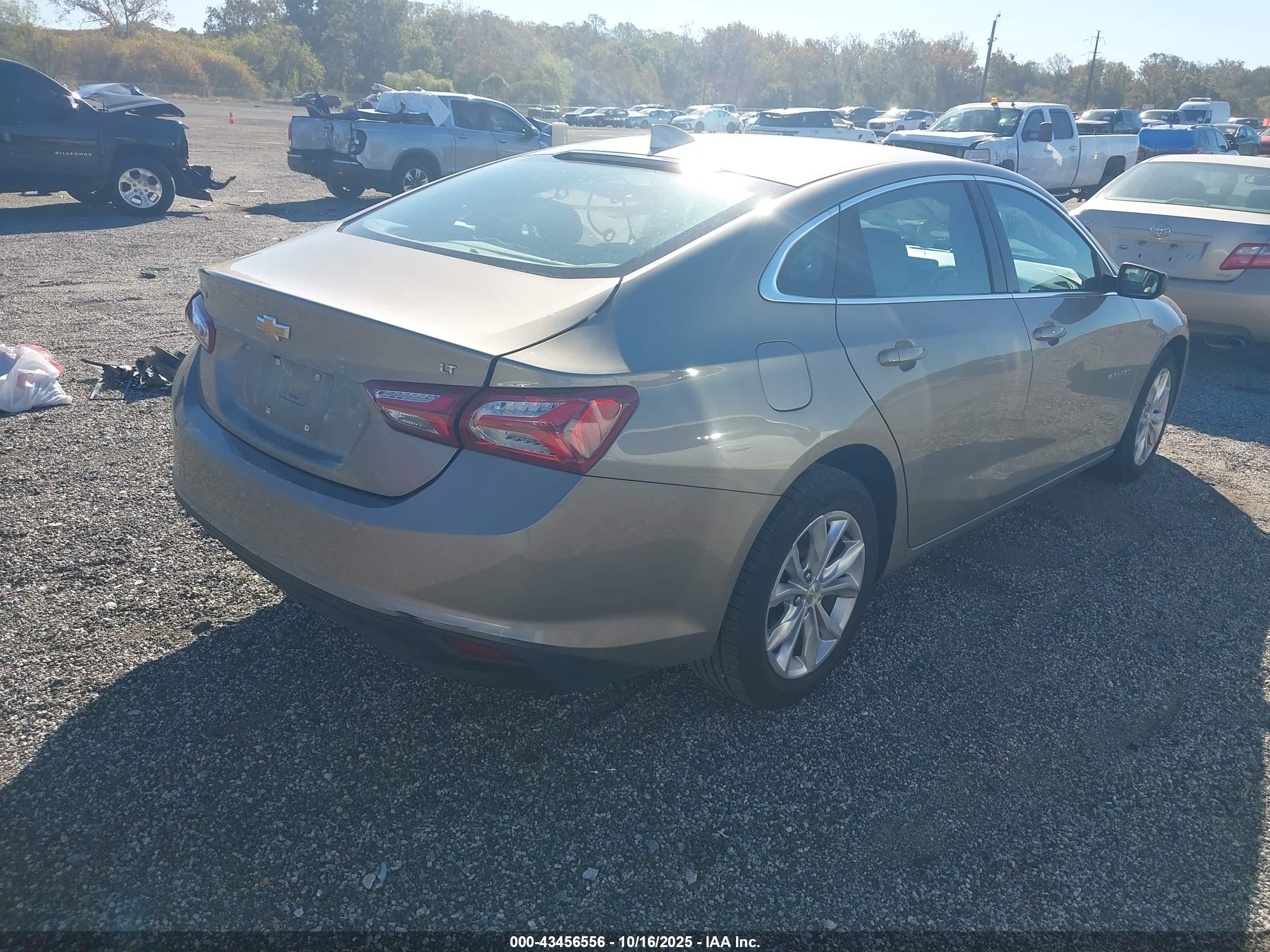 CHEVROLET MALIBU image 4