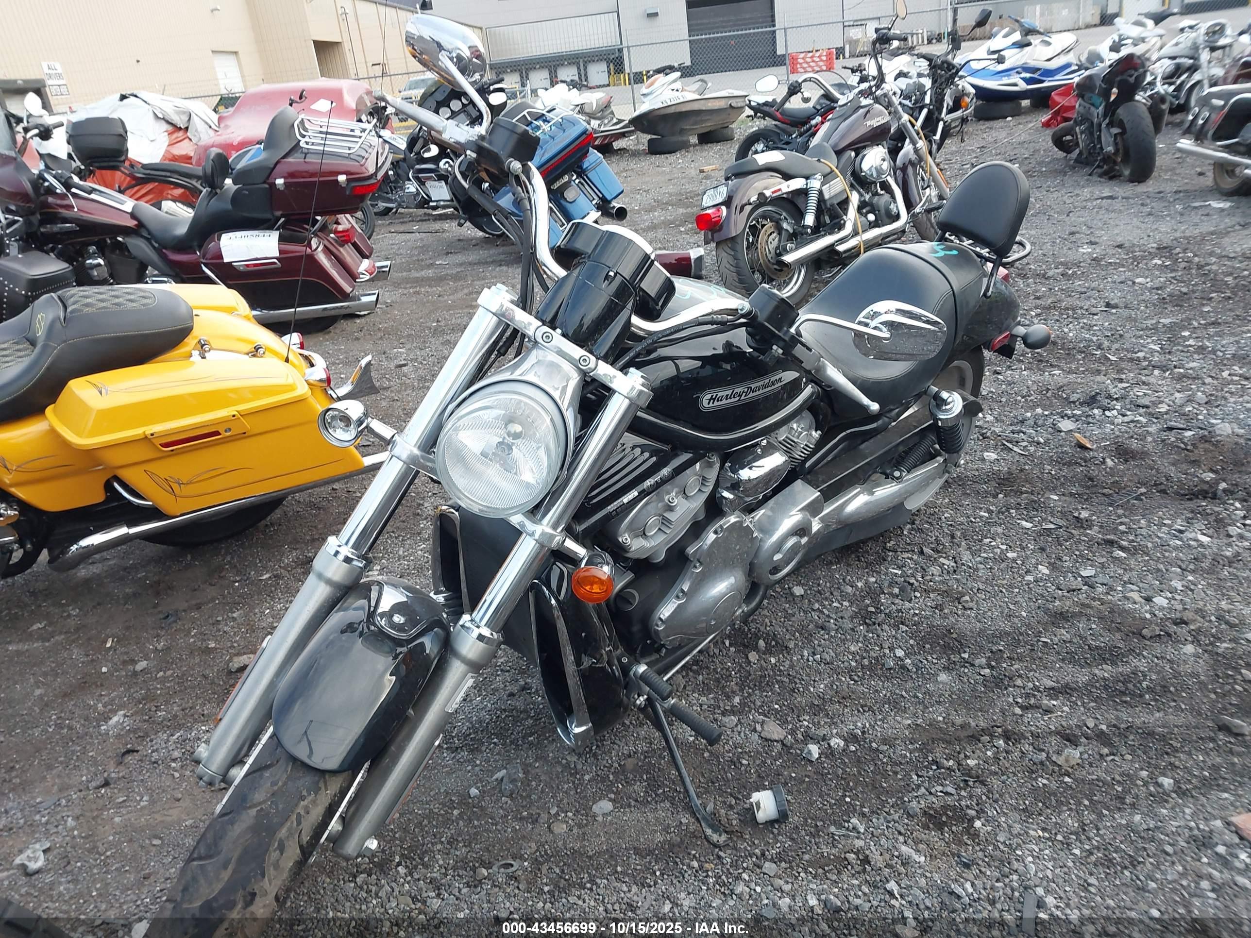 HARLEY-DAVIDSON VRSCB image 2