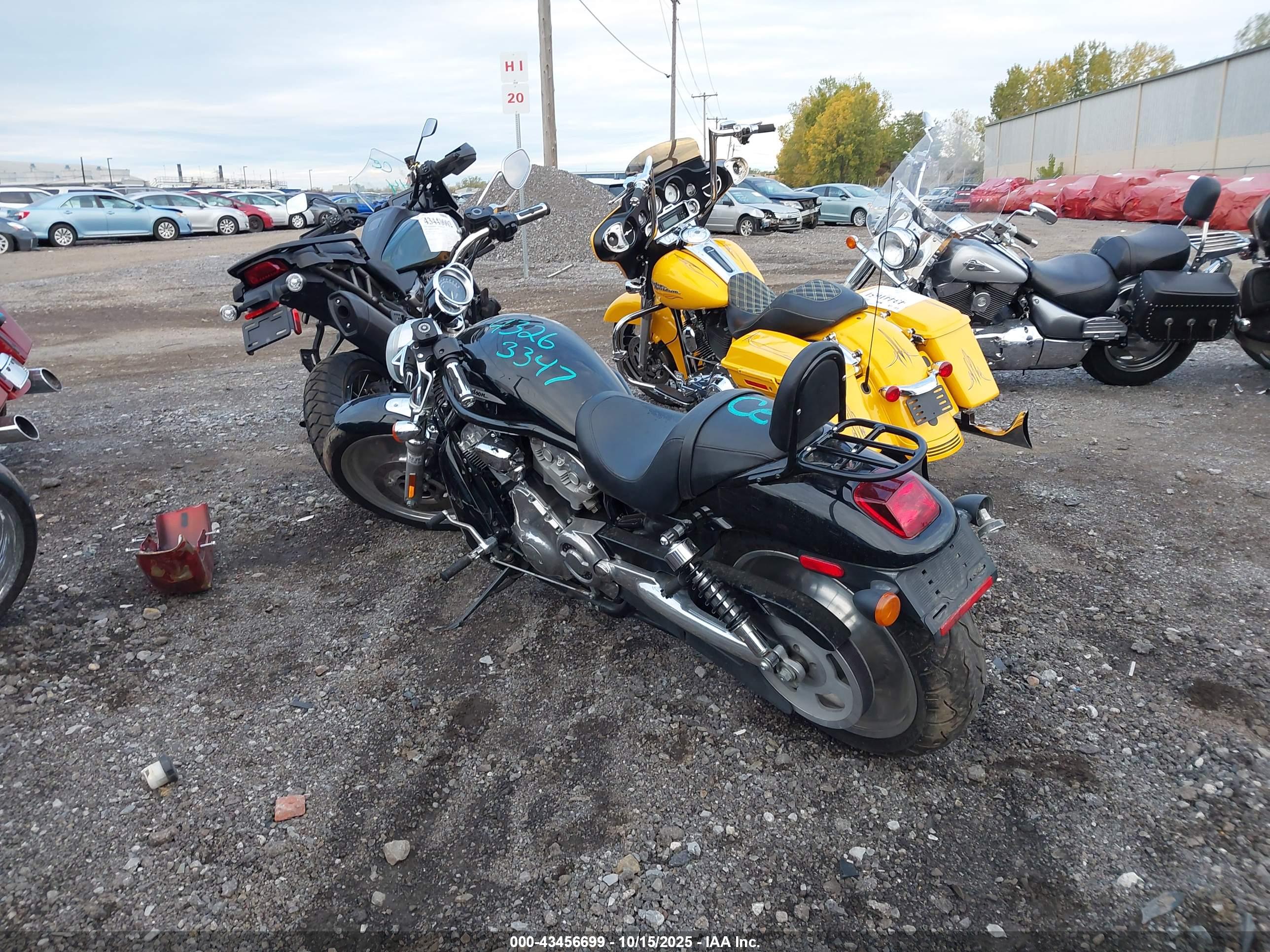 HARLEY-DAVIDSON VRSCB image 3