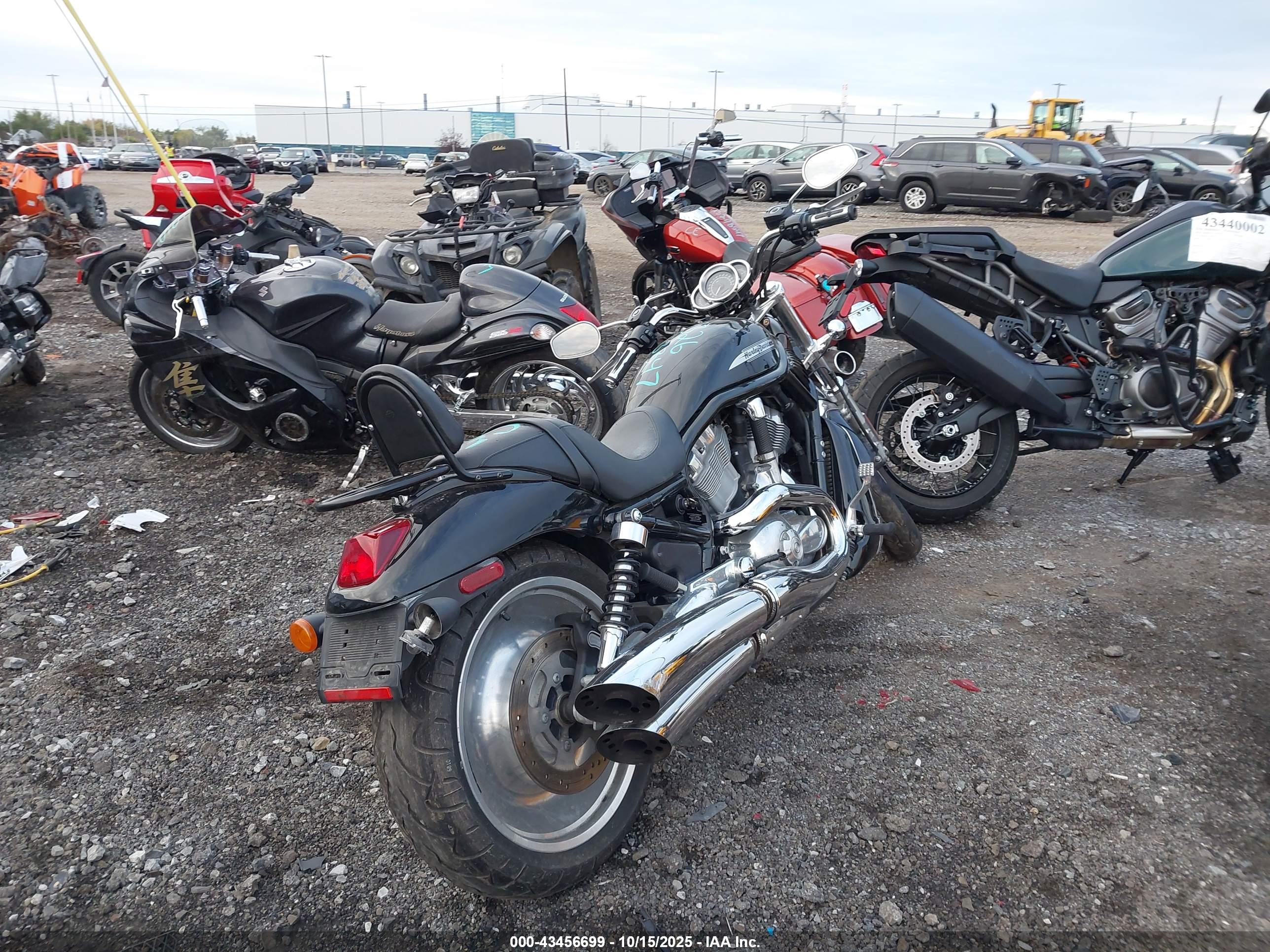 HARLEY-DAVIDSON VRSCB image 4