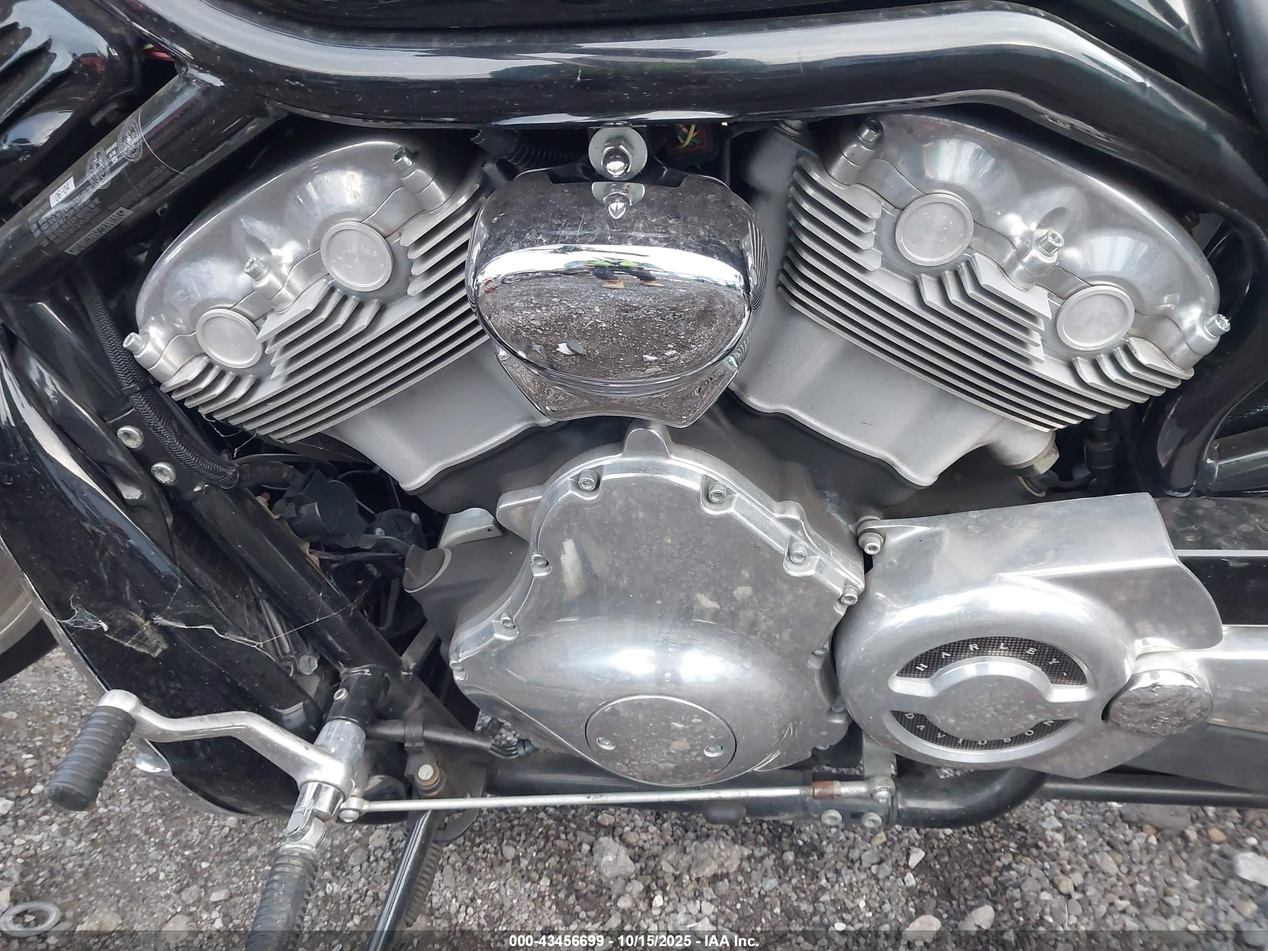 HARLEY-DAVIDSON VRSCB image 9