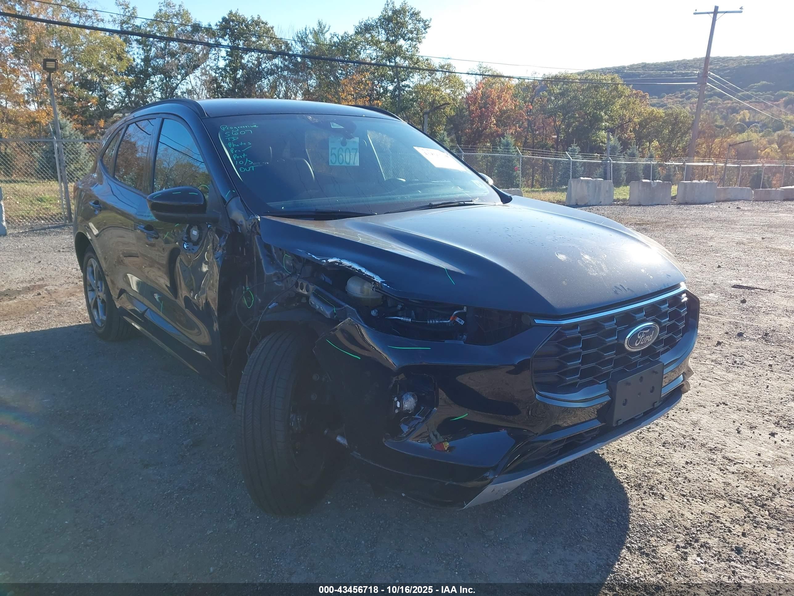 FORD ESCAPE image 6