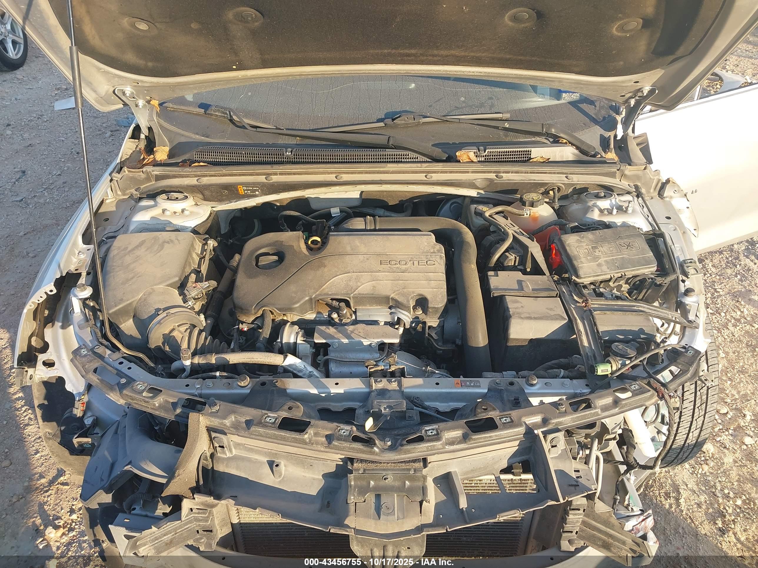 CHEVROLET MALIBU image 10