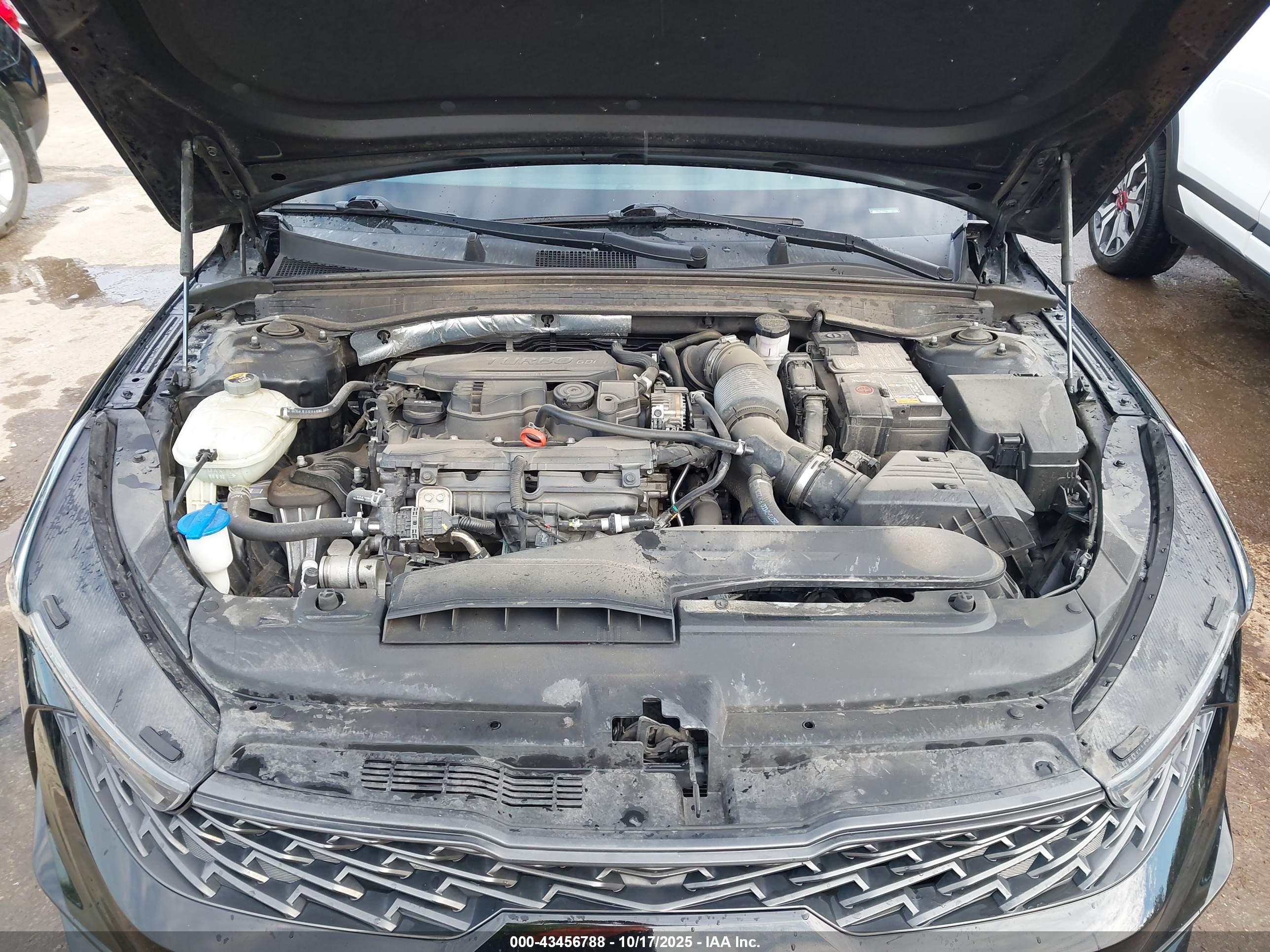 KIA K5 image 10