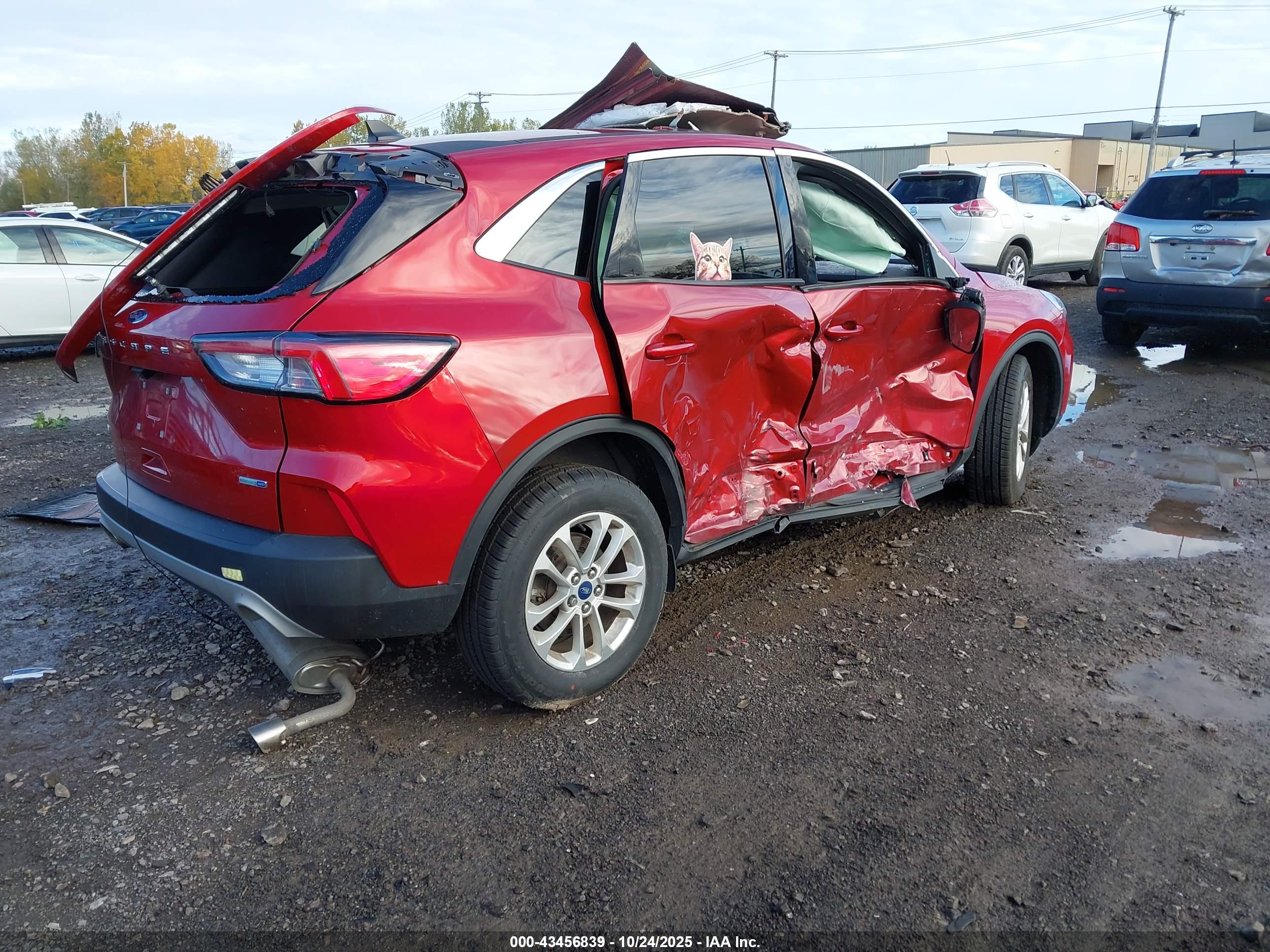 FORD ESCAPE image 4