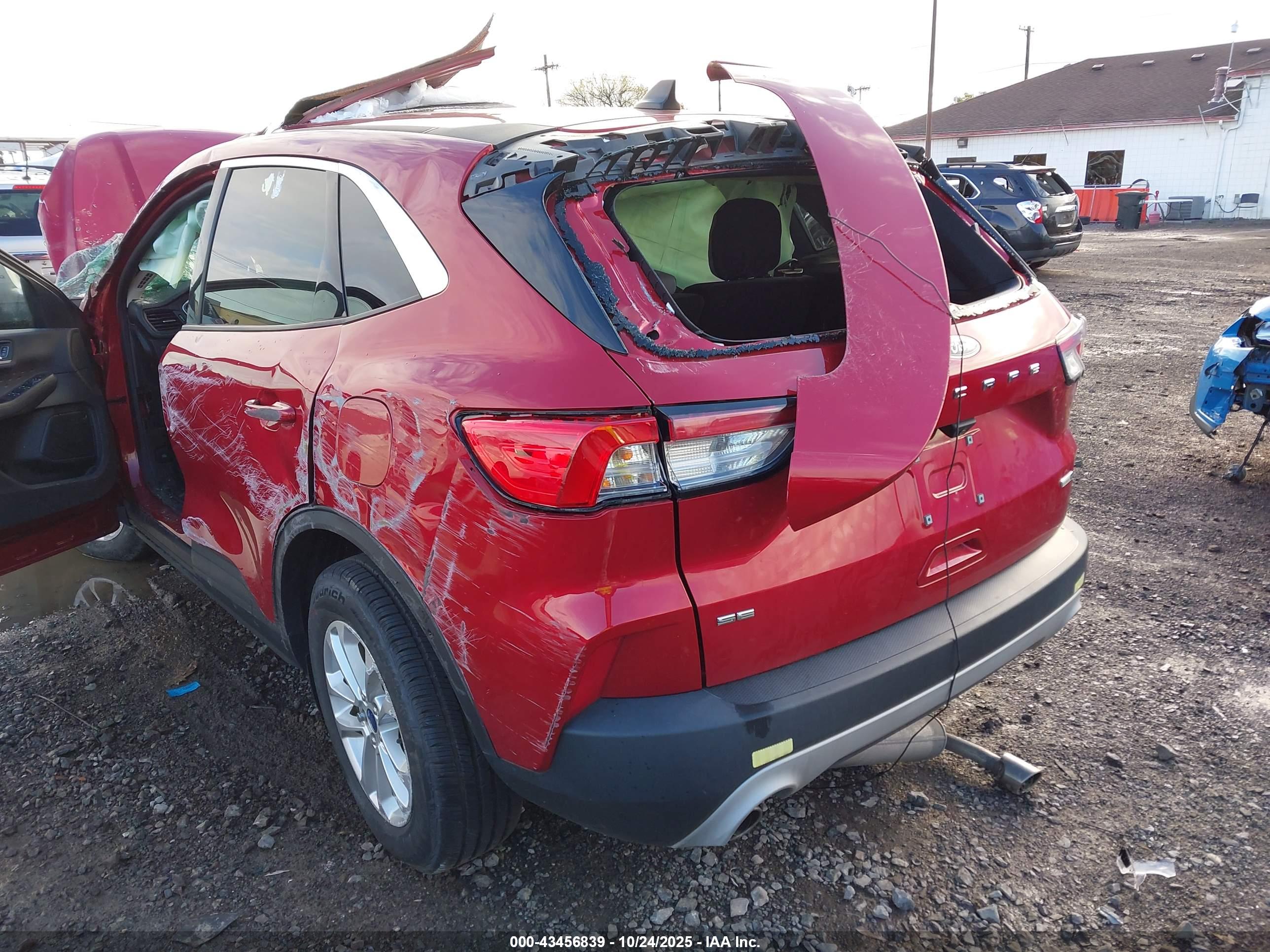 FORD ESCAPE image 6