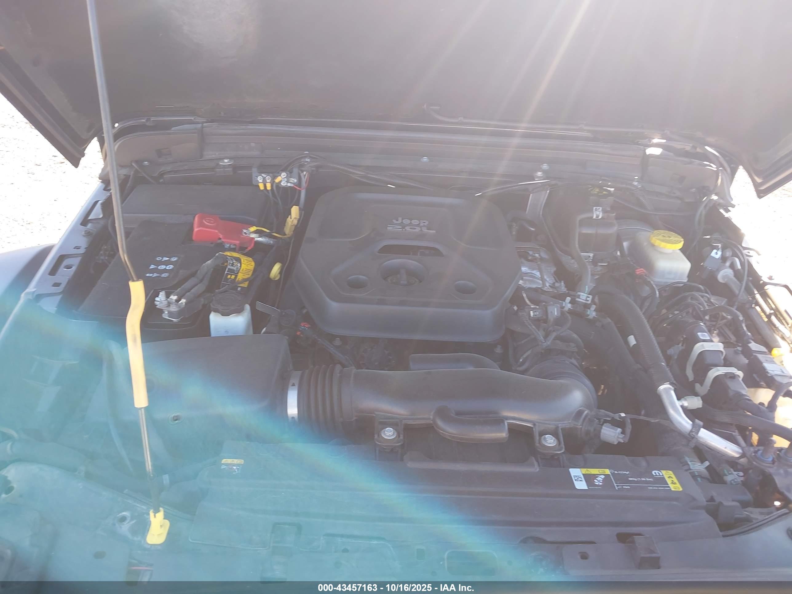 JEEP WRANGLER image 10