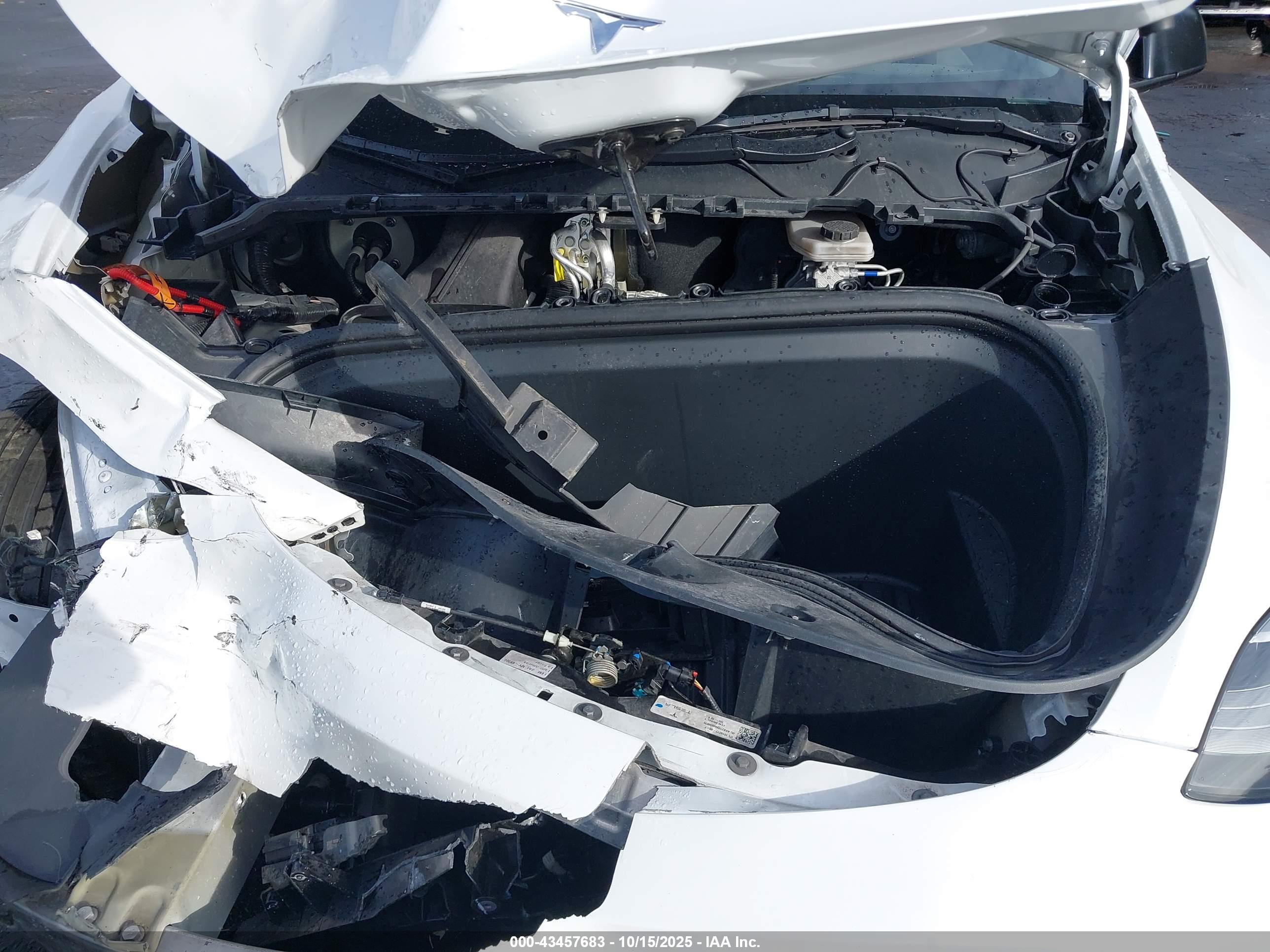 TESLA MODEL image 10