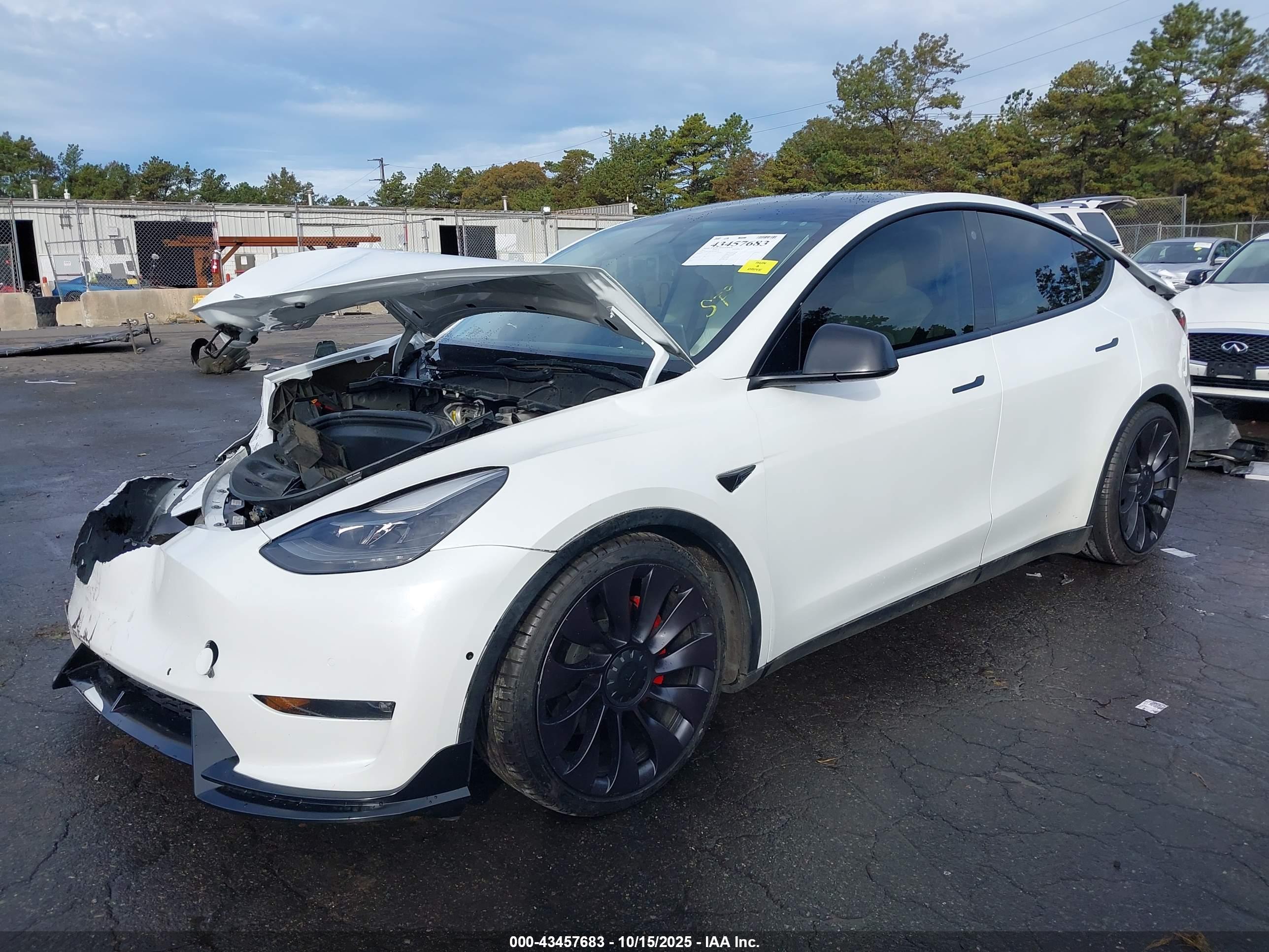 TESLA MODEL image 2