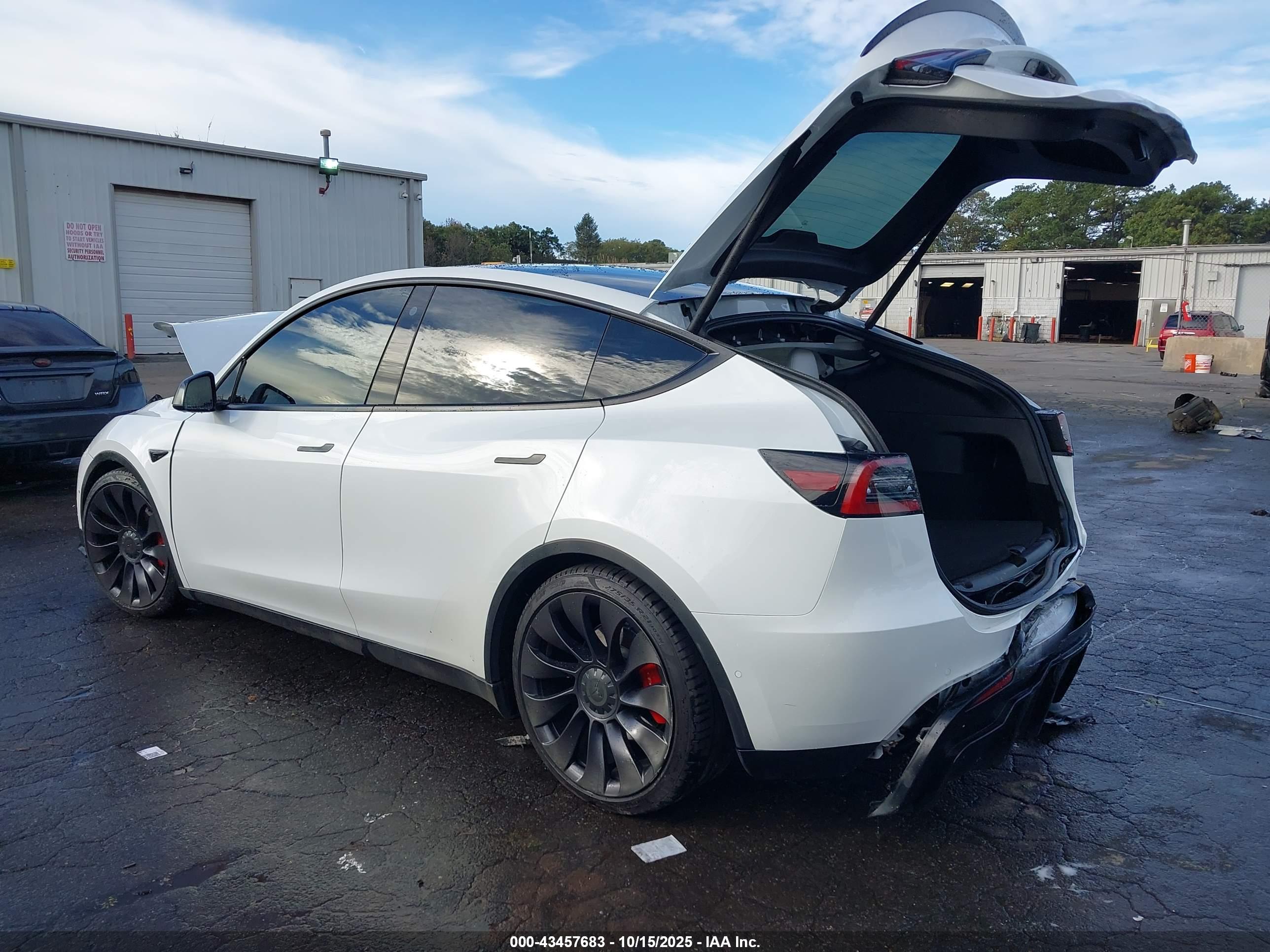 TESLA MODEL image 3