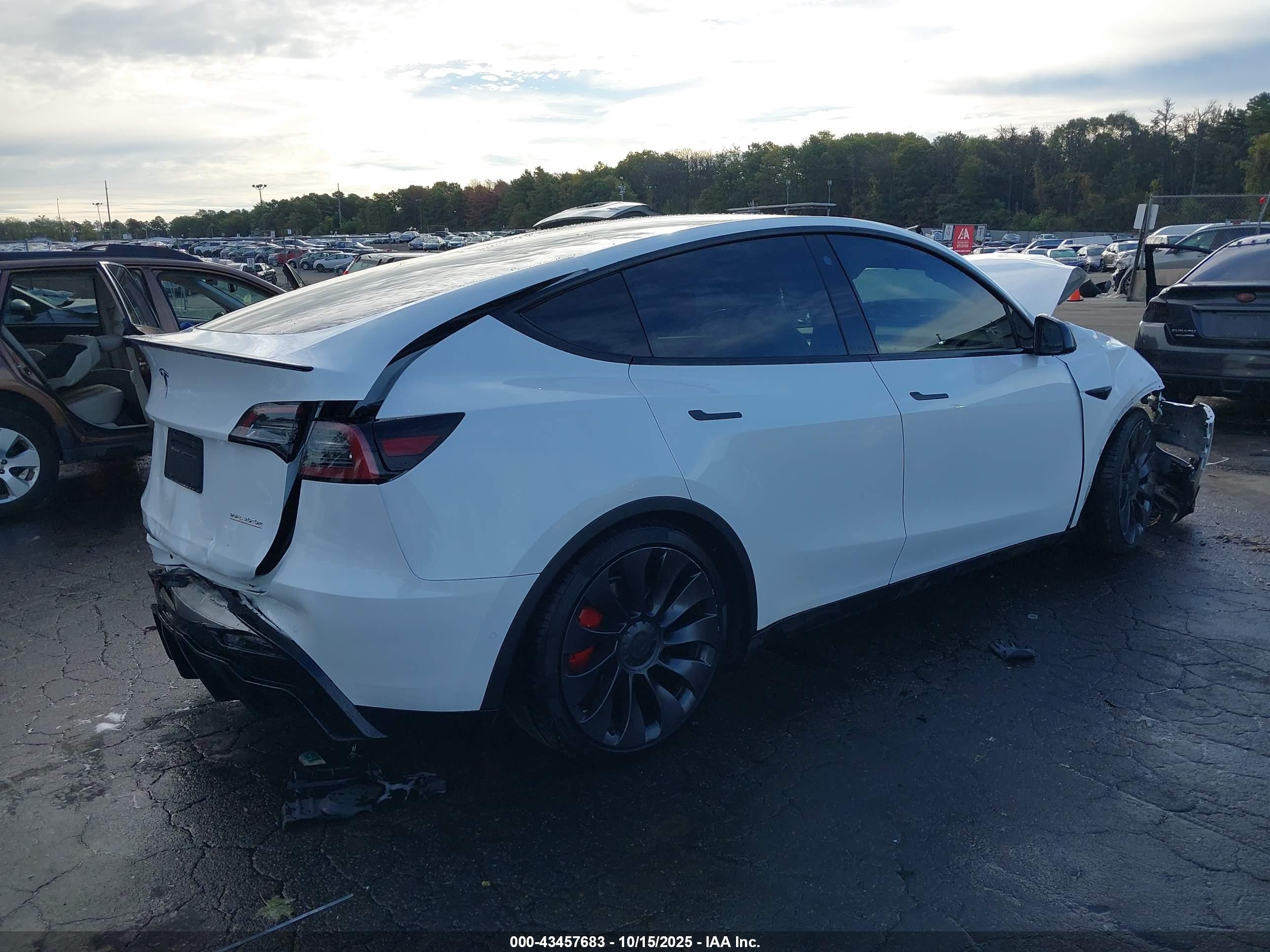 TESLA MODEL image 4