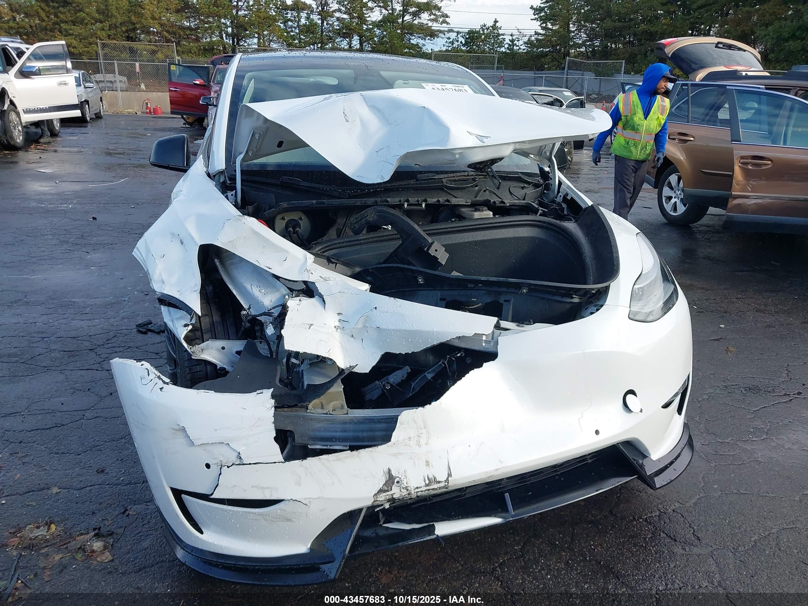 TESLA MODEL image 6