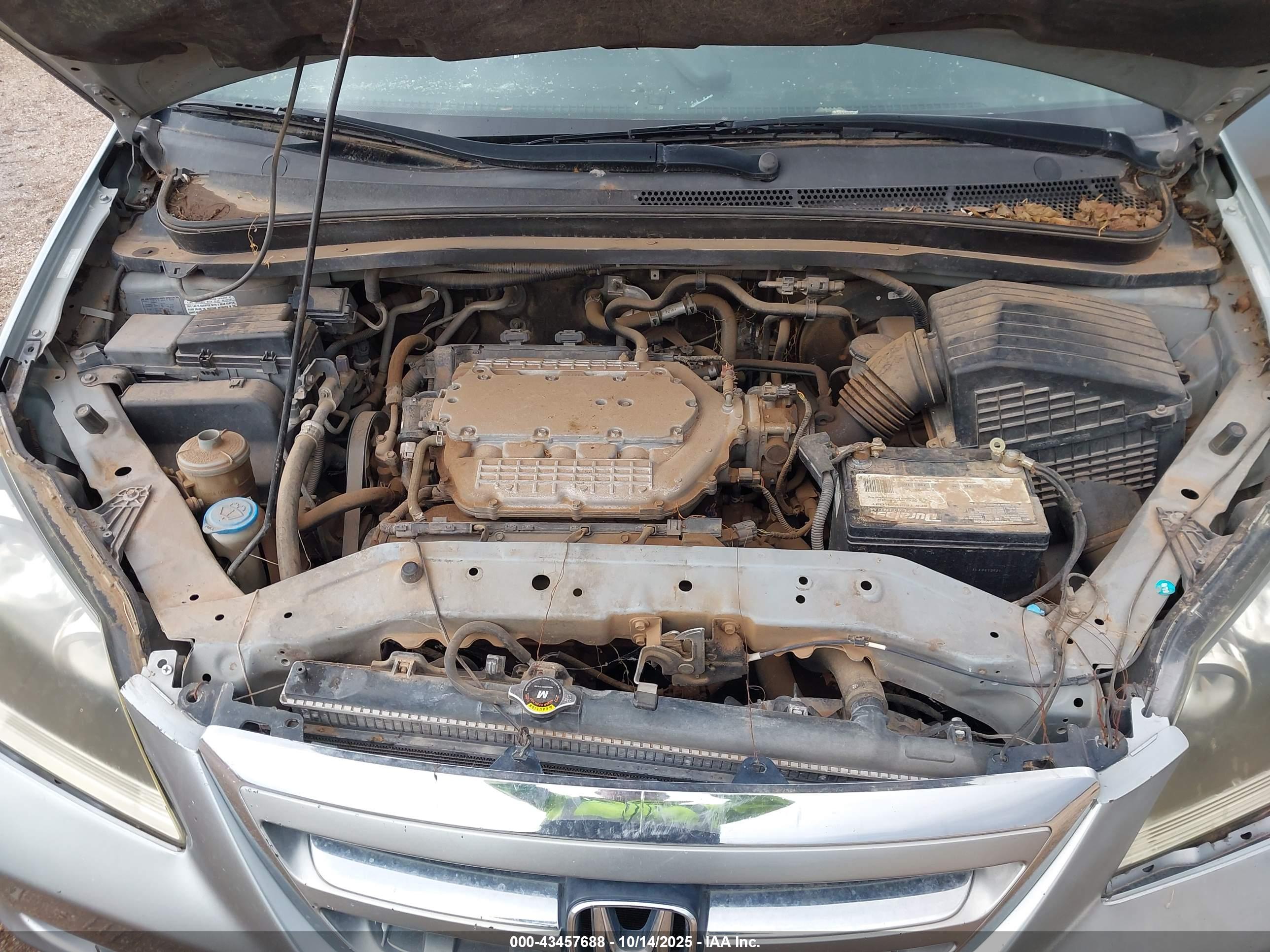 HONDA ODYSSEY image 10