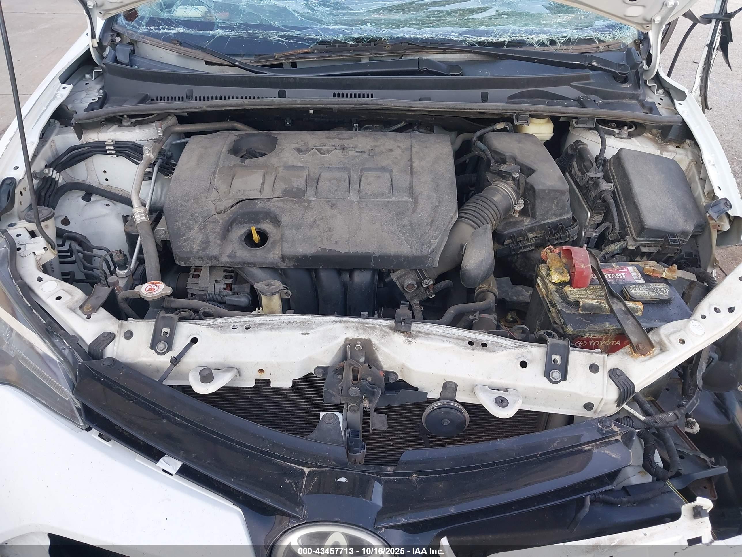 TOYOTA COROLLA image 10