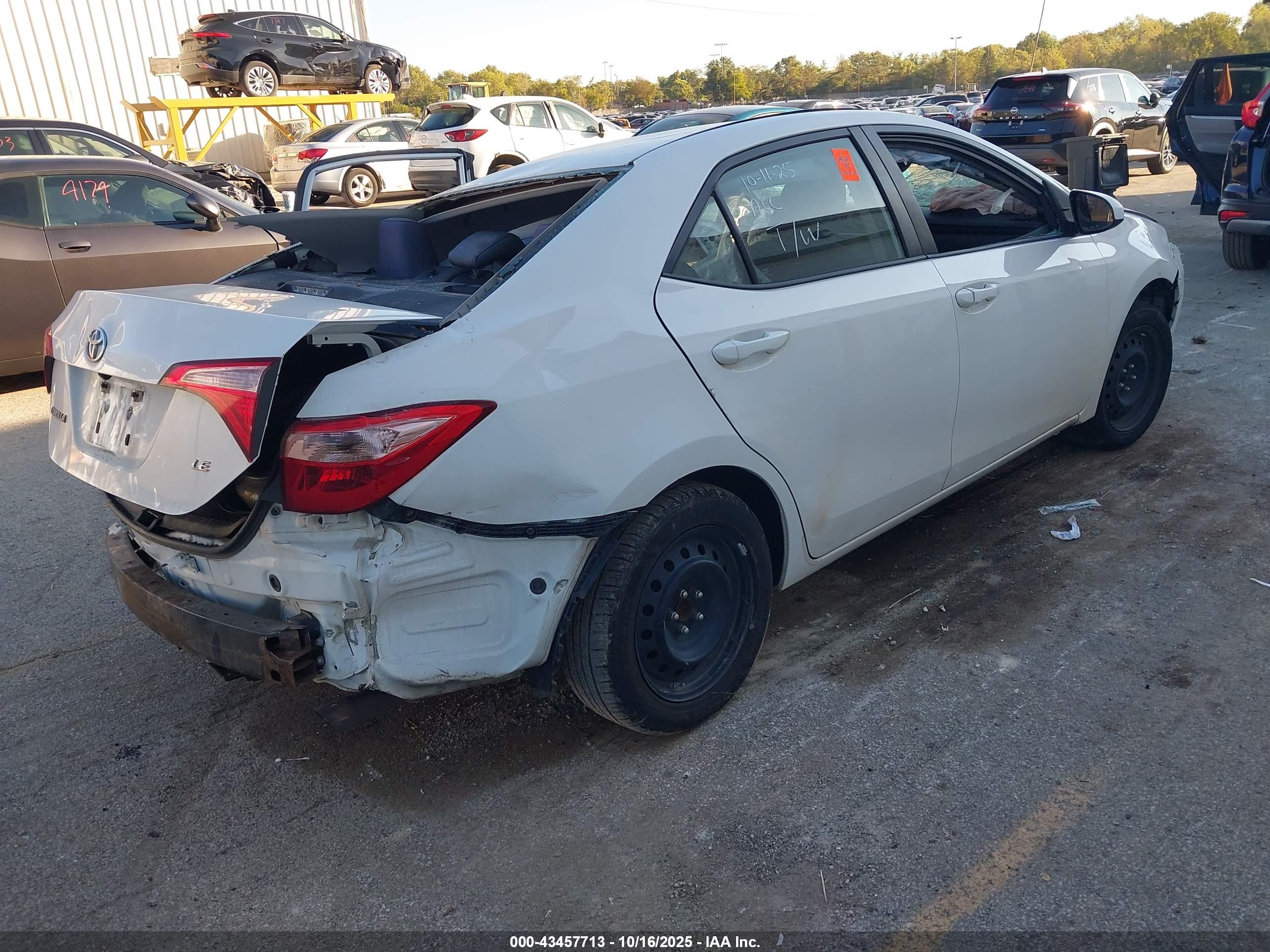 TOYOTA COROLLA image 4