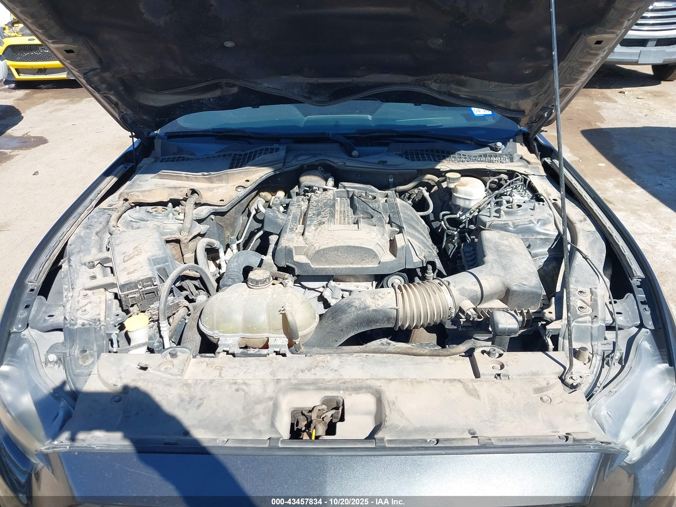 FORD MUSTANG image 10