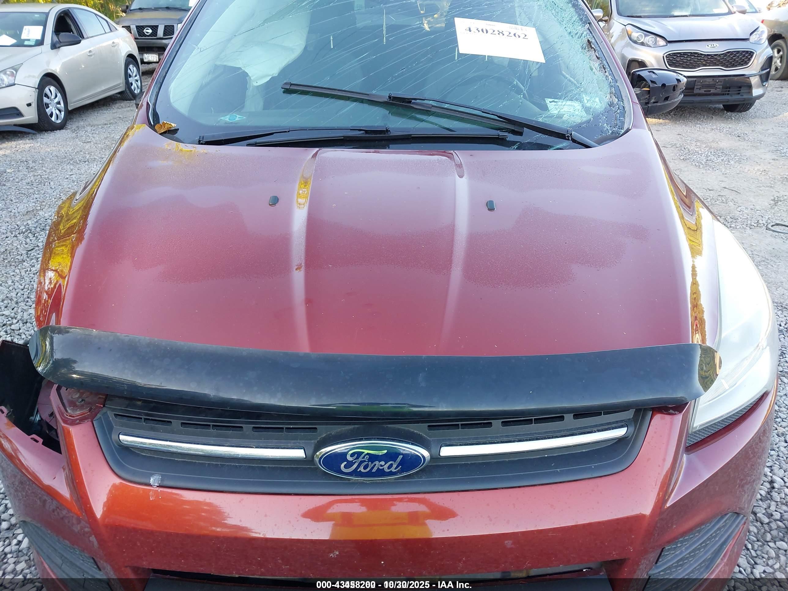 FORD ESCAPE image 10
