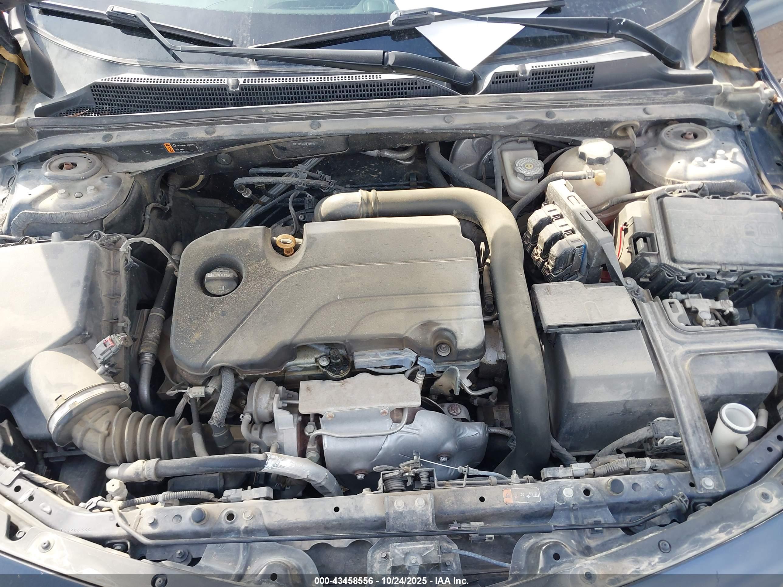 CHEVROLET MALIBU image 10