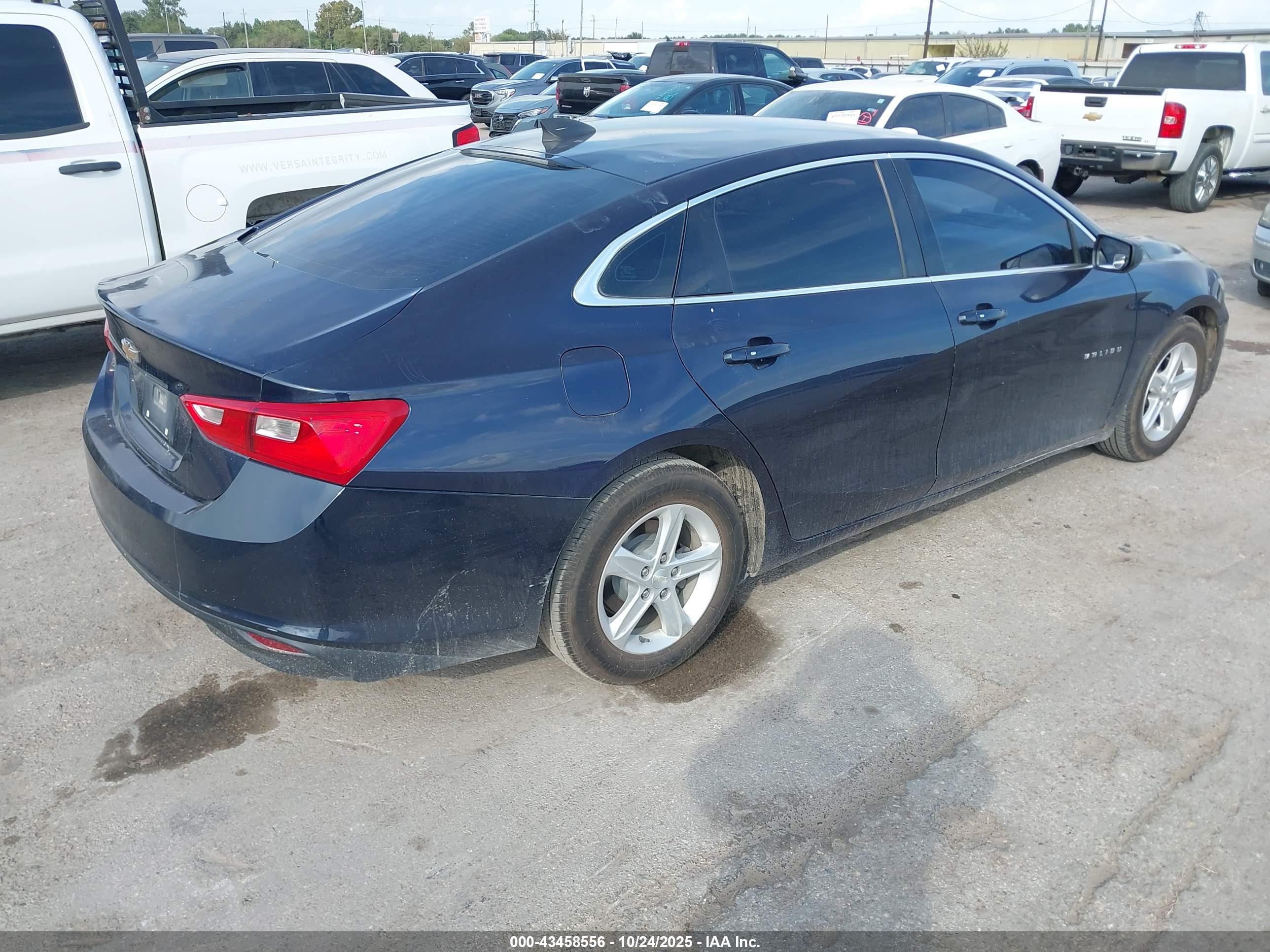 CHEVROLET MALIBU image 4