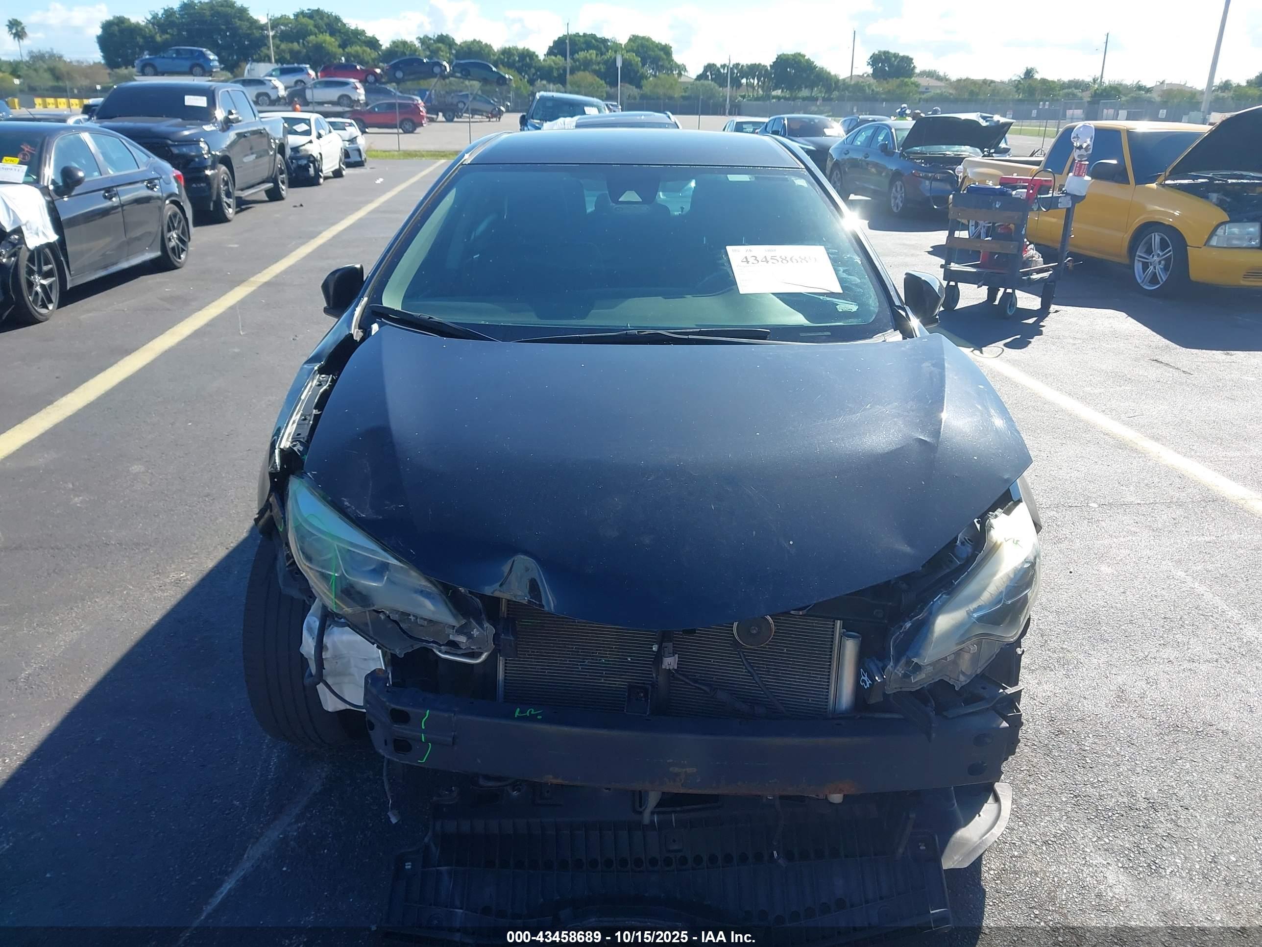 TOYOTA COROLLA image 6
