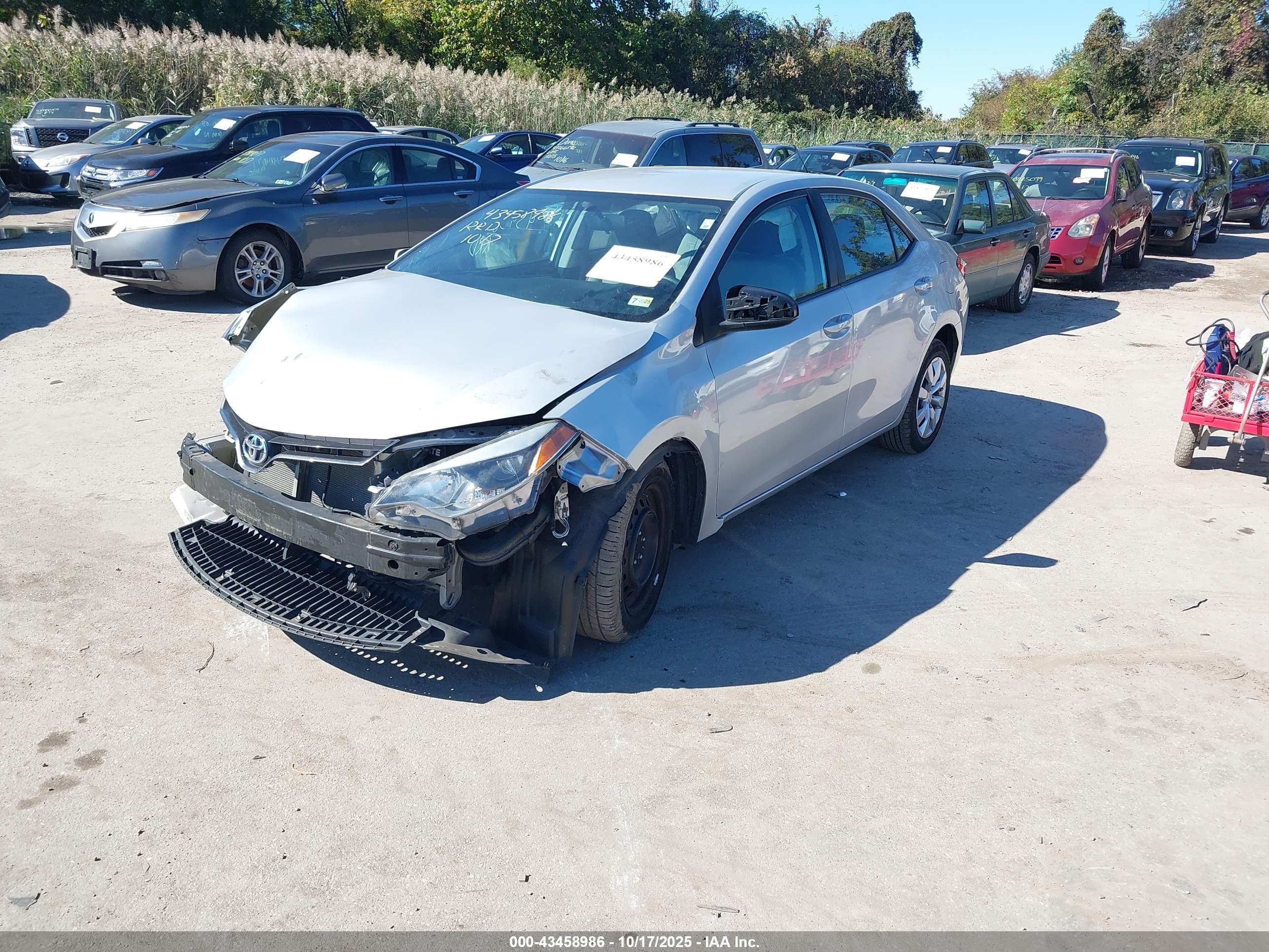 TOYOTA COROLLA image 2
