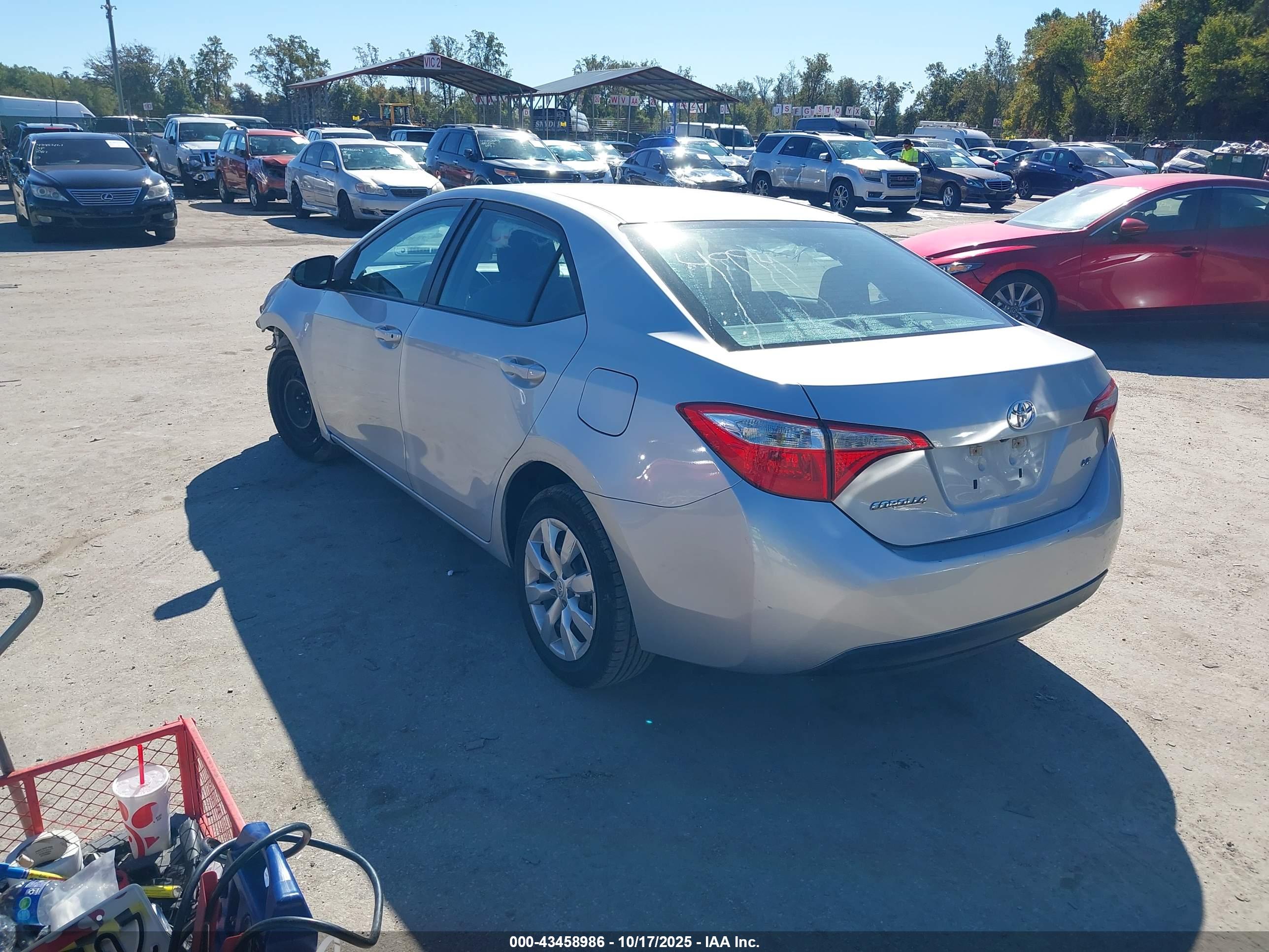 TOYOTA COROLLA image 3