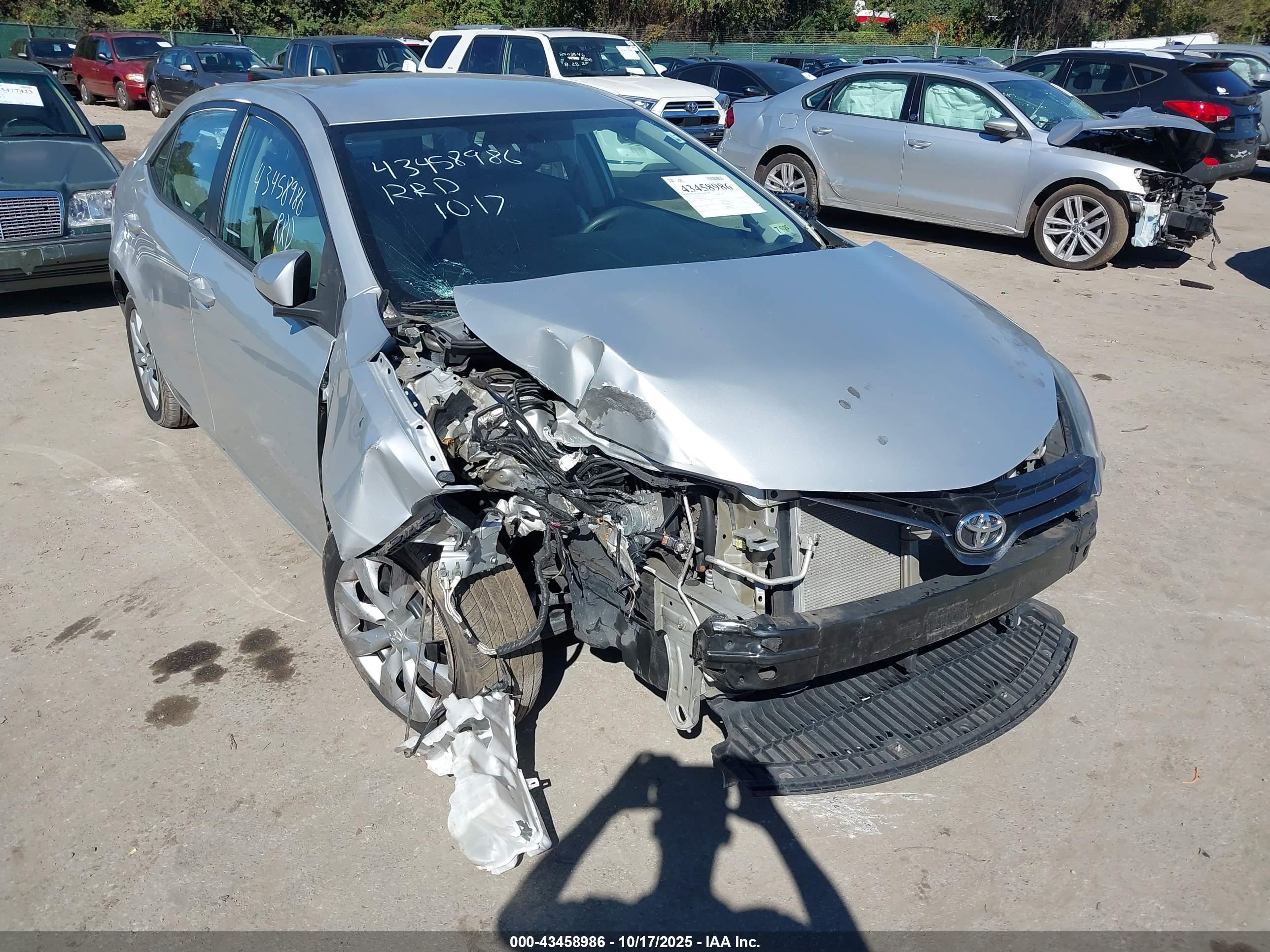 TOYOTA COROLLA image 6
