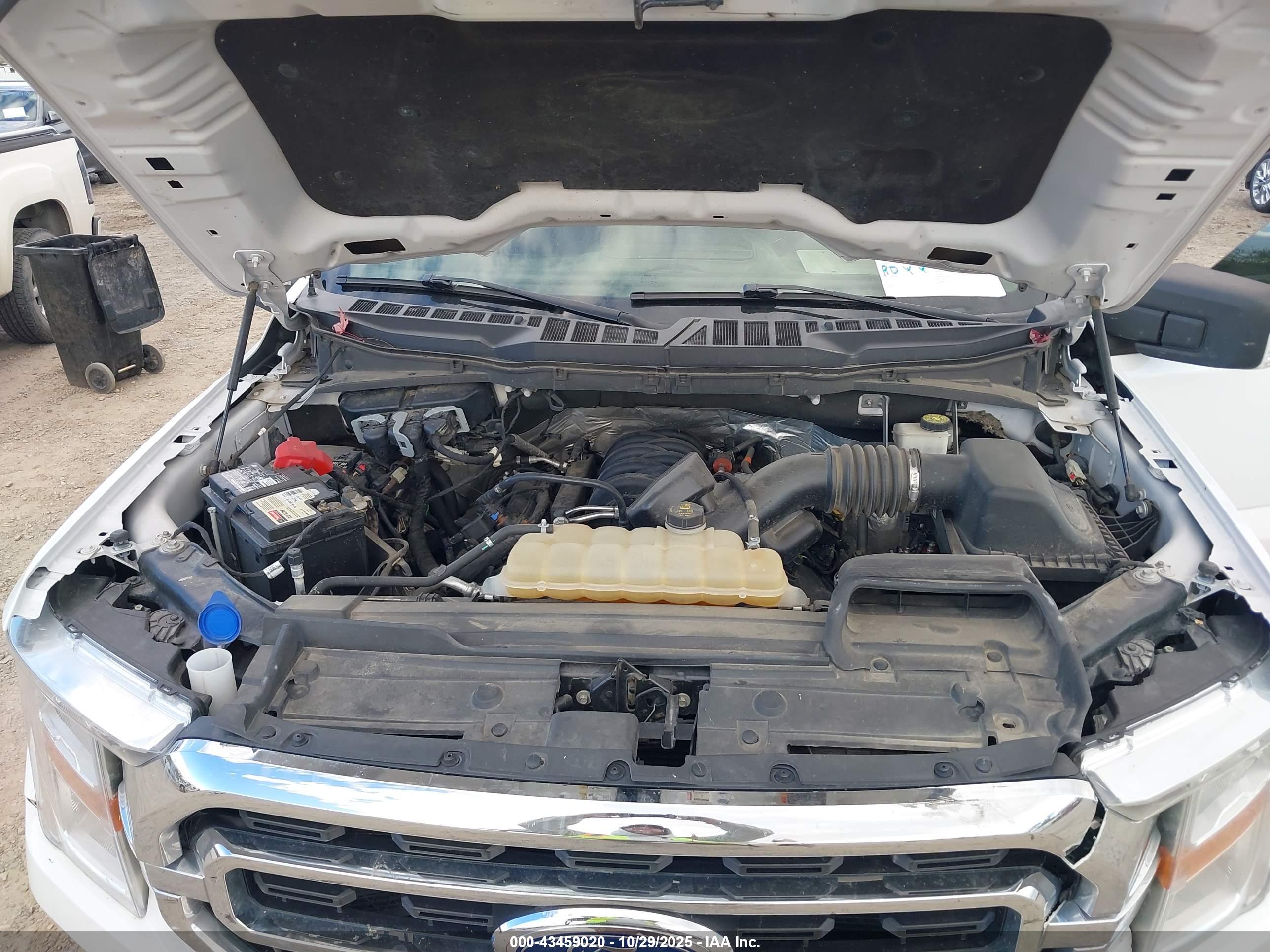 FORD F-150 image 10