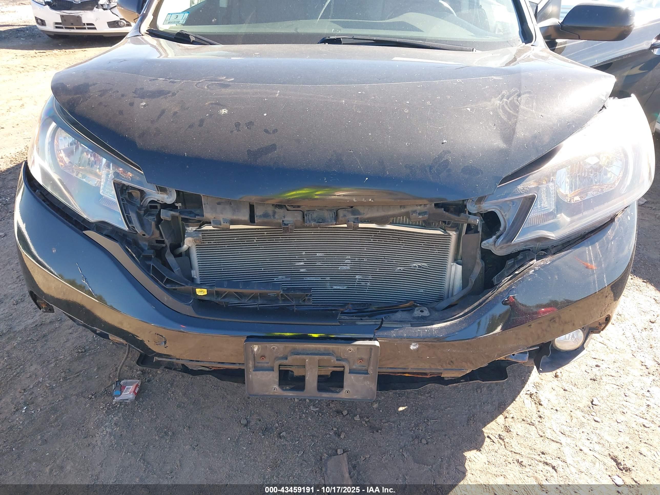 HONDA CR-V image 6