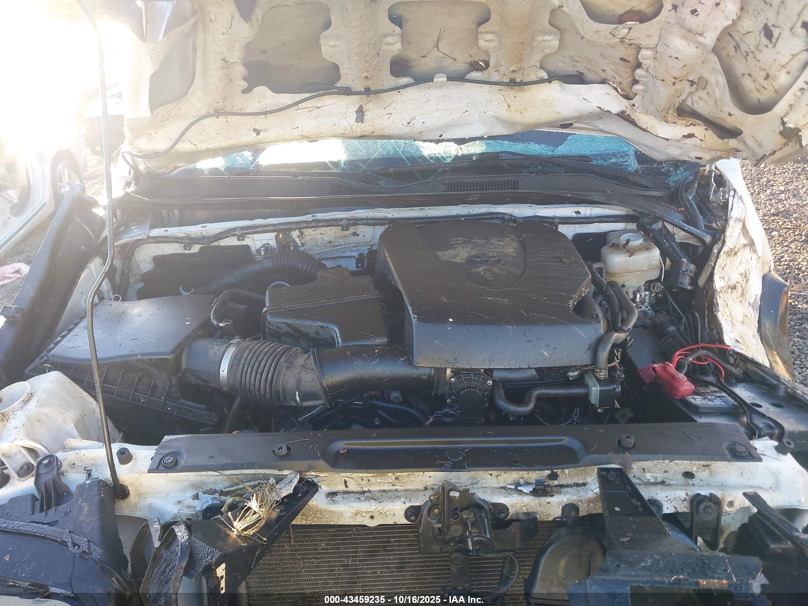TOYOTA TACOMA image 10