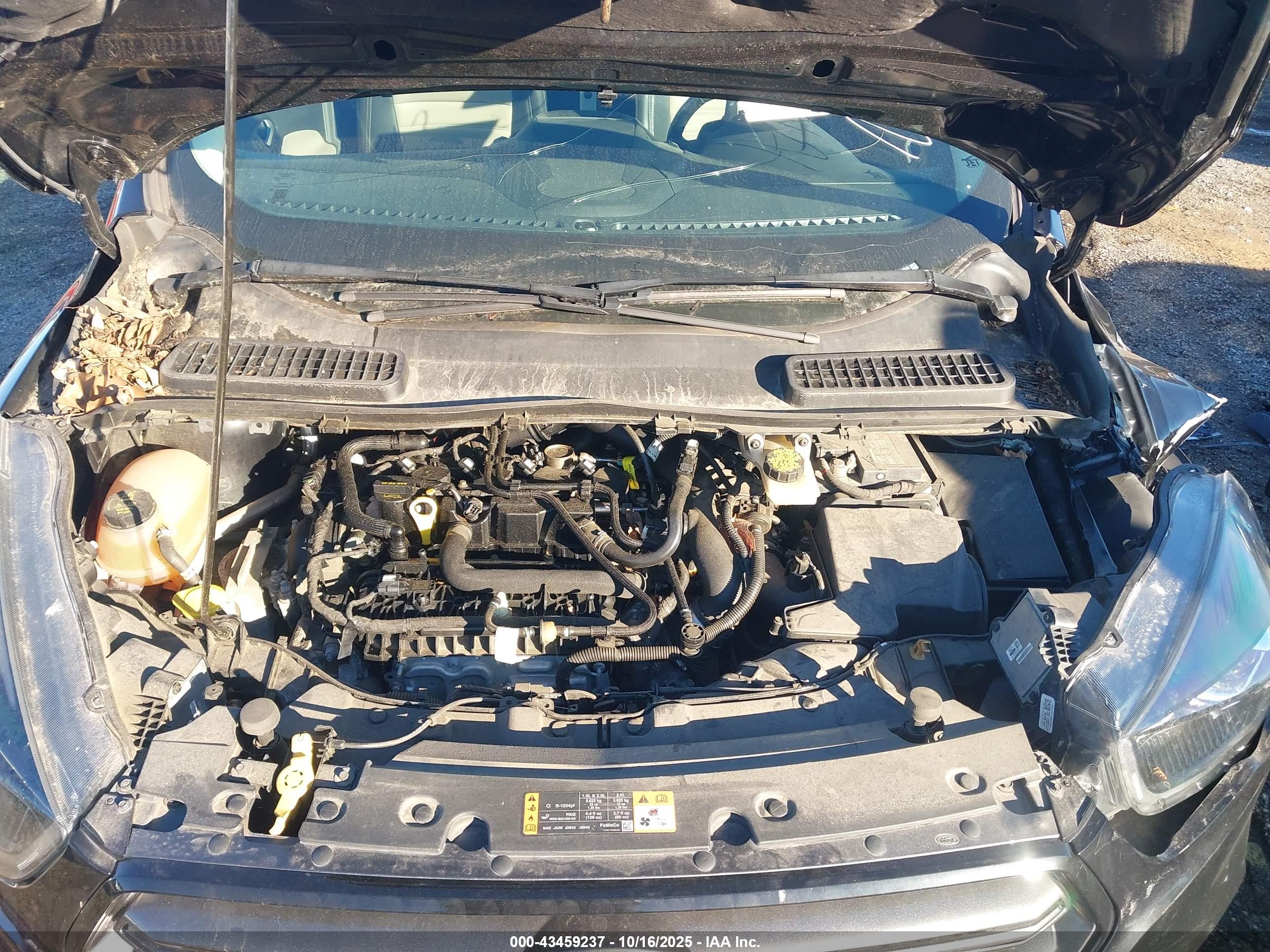 FORD ESCAPE image 10