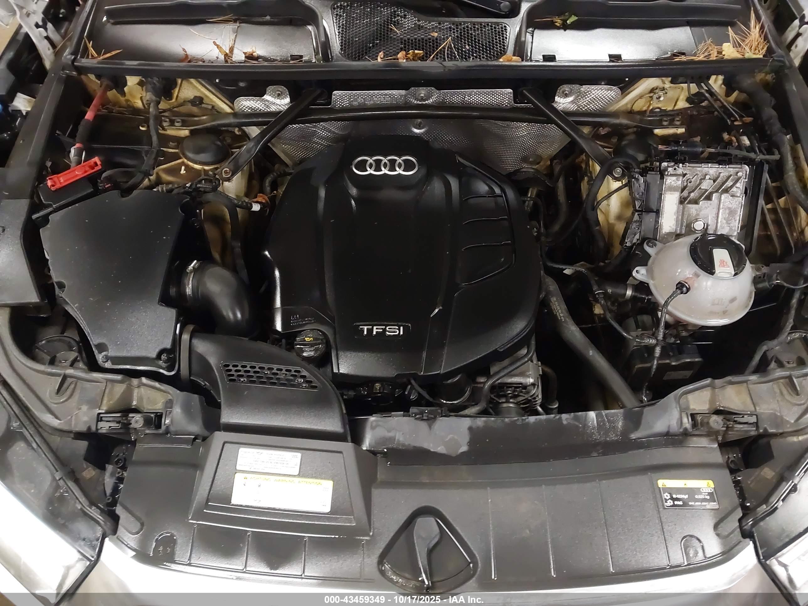 AUDI Q5 image 10