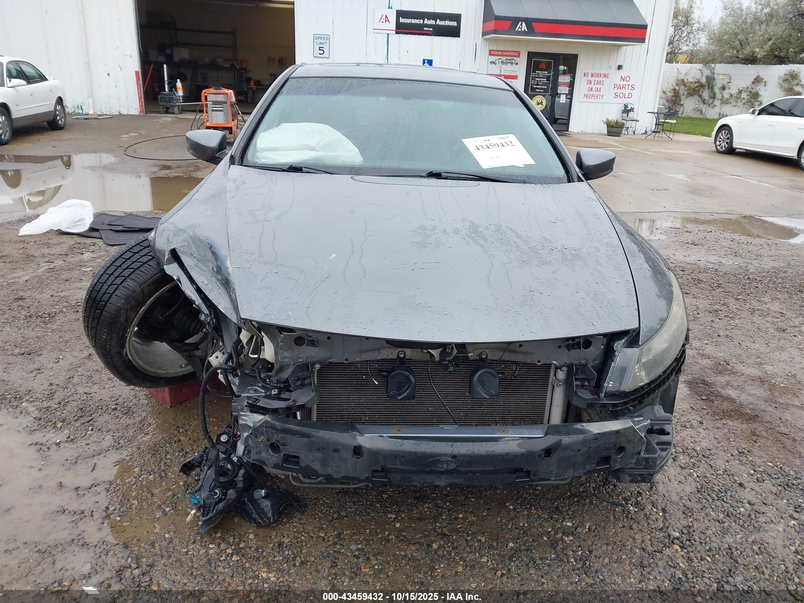 HONDA ACCORD image 6